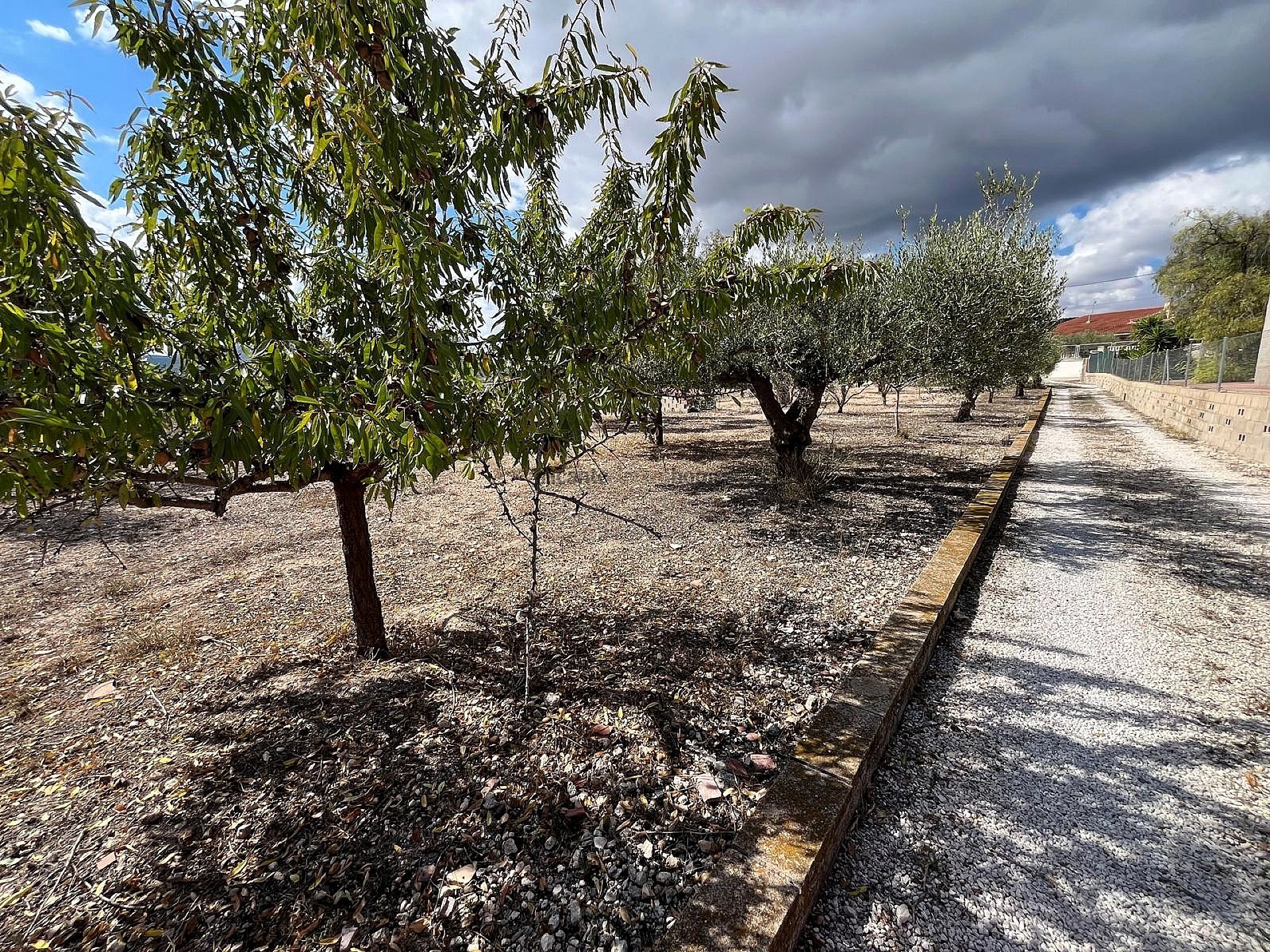 Sold - 3 Bedroom 1 Bathroom Country house in Castalla -  - Alicante