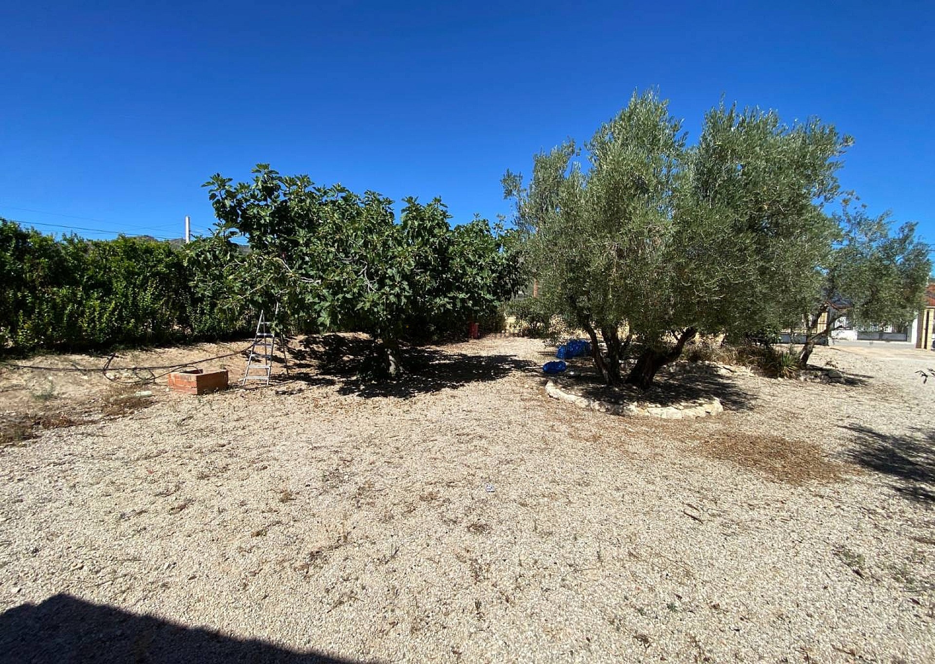 Sold - 3 Bedroom 1 Bathroom Villa in Salinas -  - Alicante