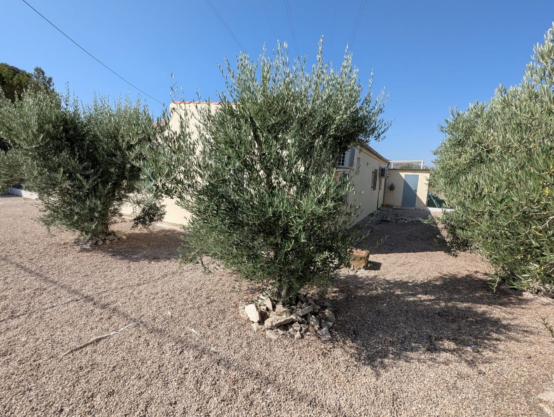 Resale - 3 Bedroom 3 Bathroom Country house in Sax -  - Alicante