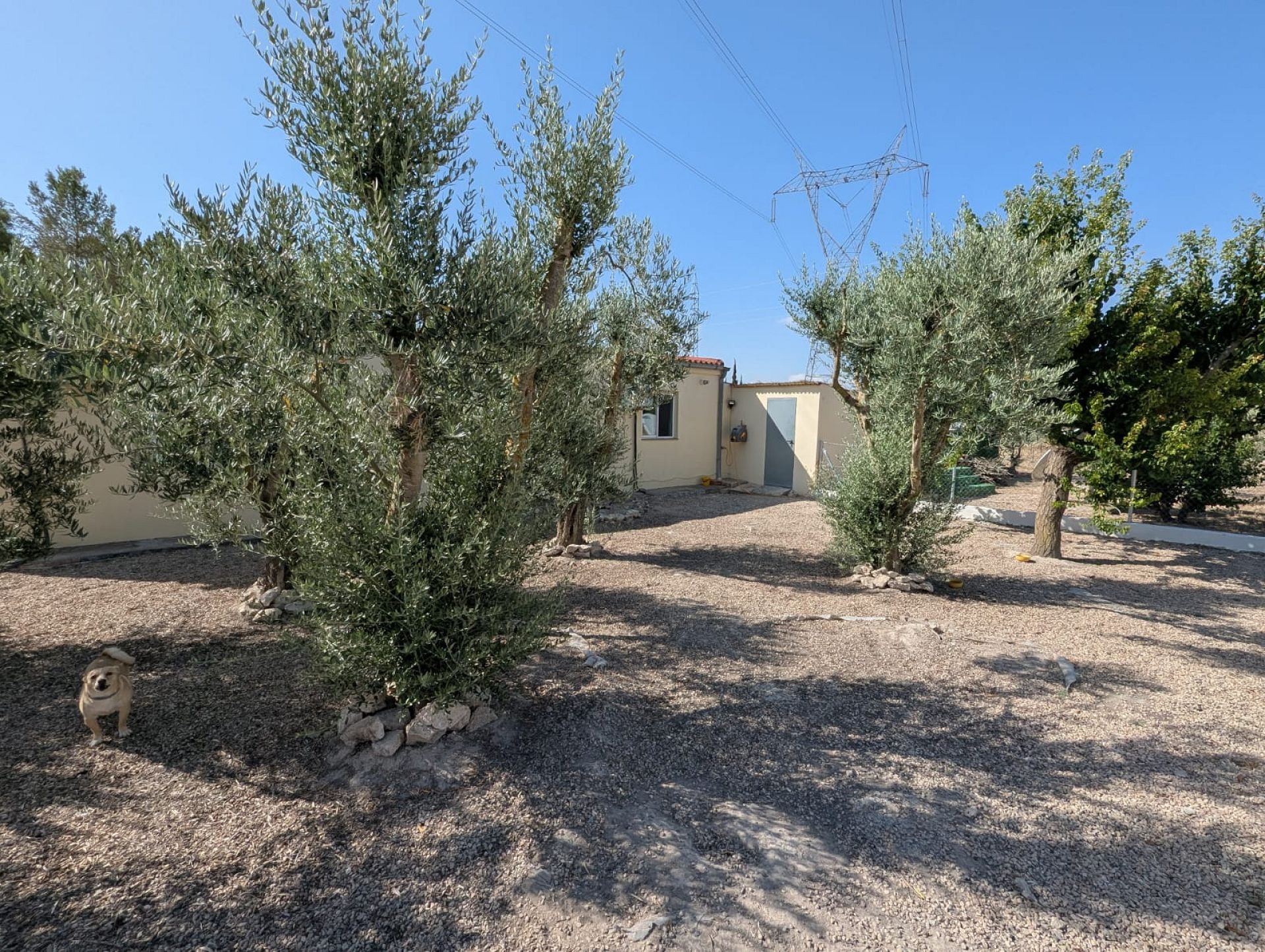 Resale - 3 Bedroom 3 Bathroom Country house in Sax -  - Alicante