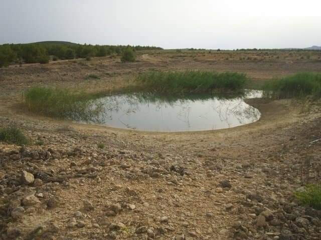 Resale - Land in Yecla -  - Murcia