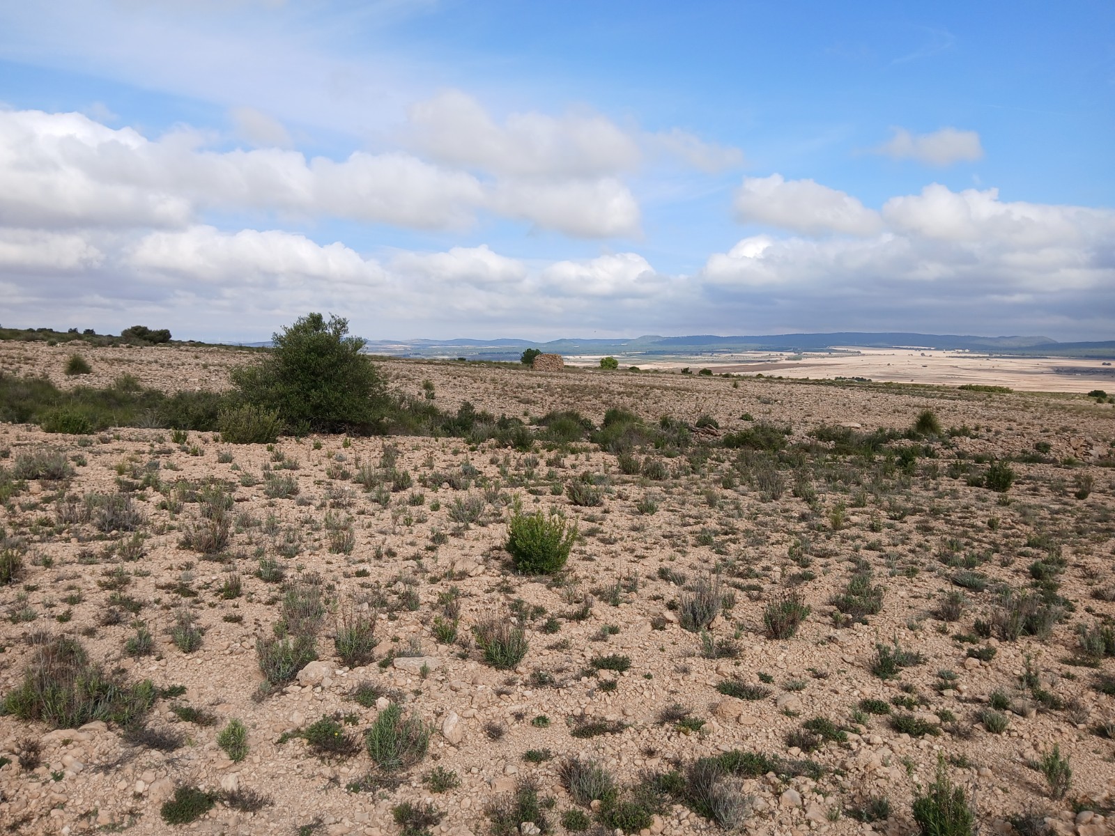Resale - Land in Yecla -  - Murcia
