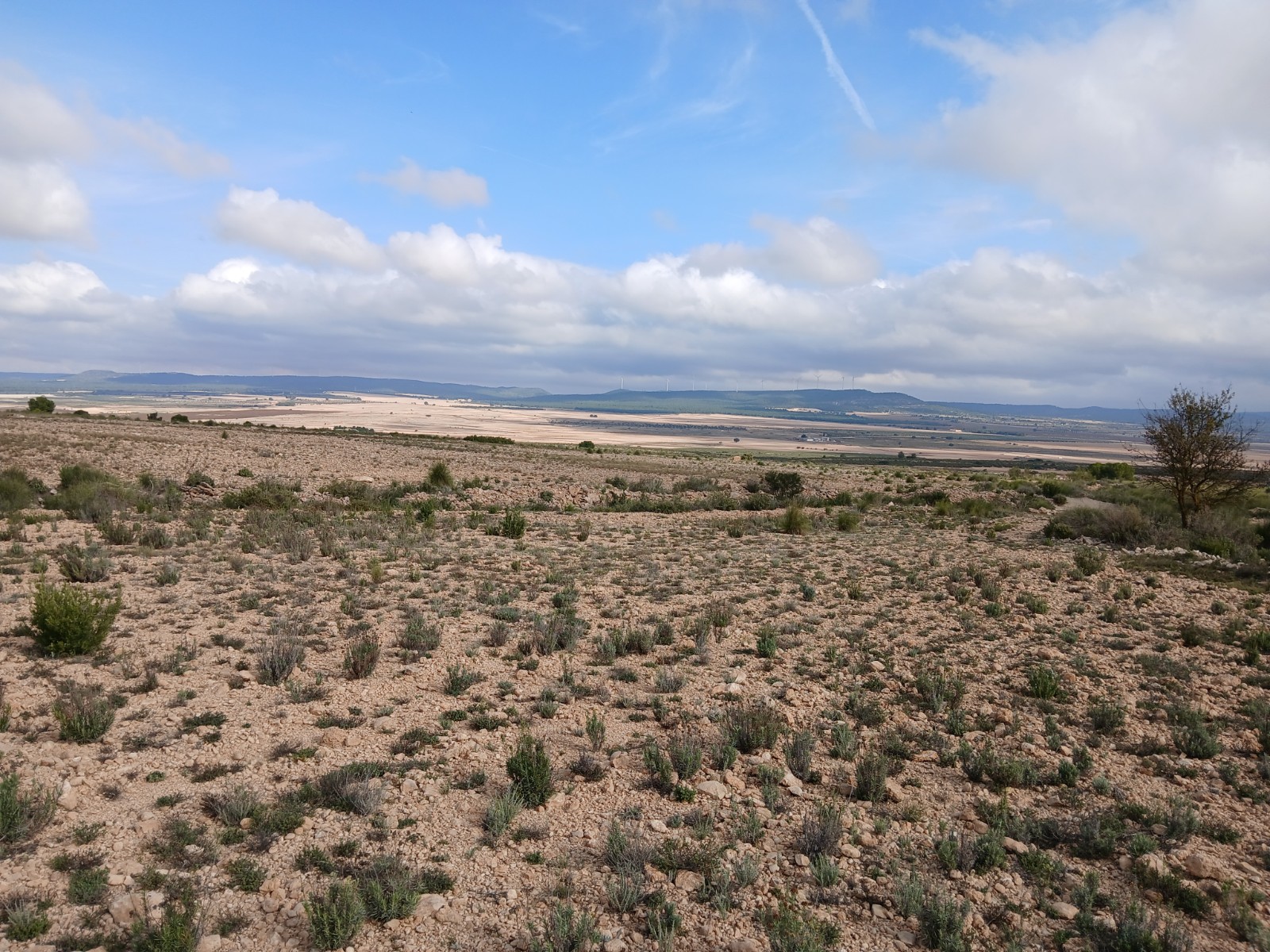 Resale - Land in Yecla -  - Murcia