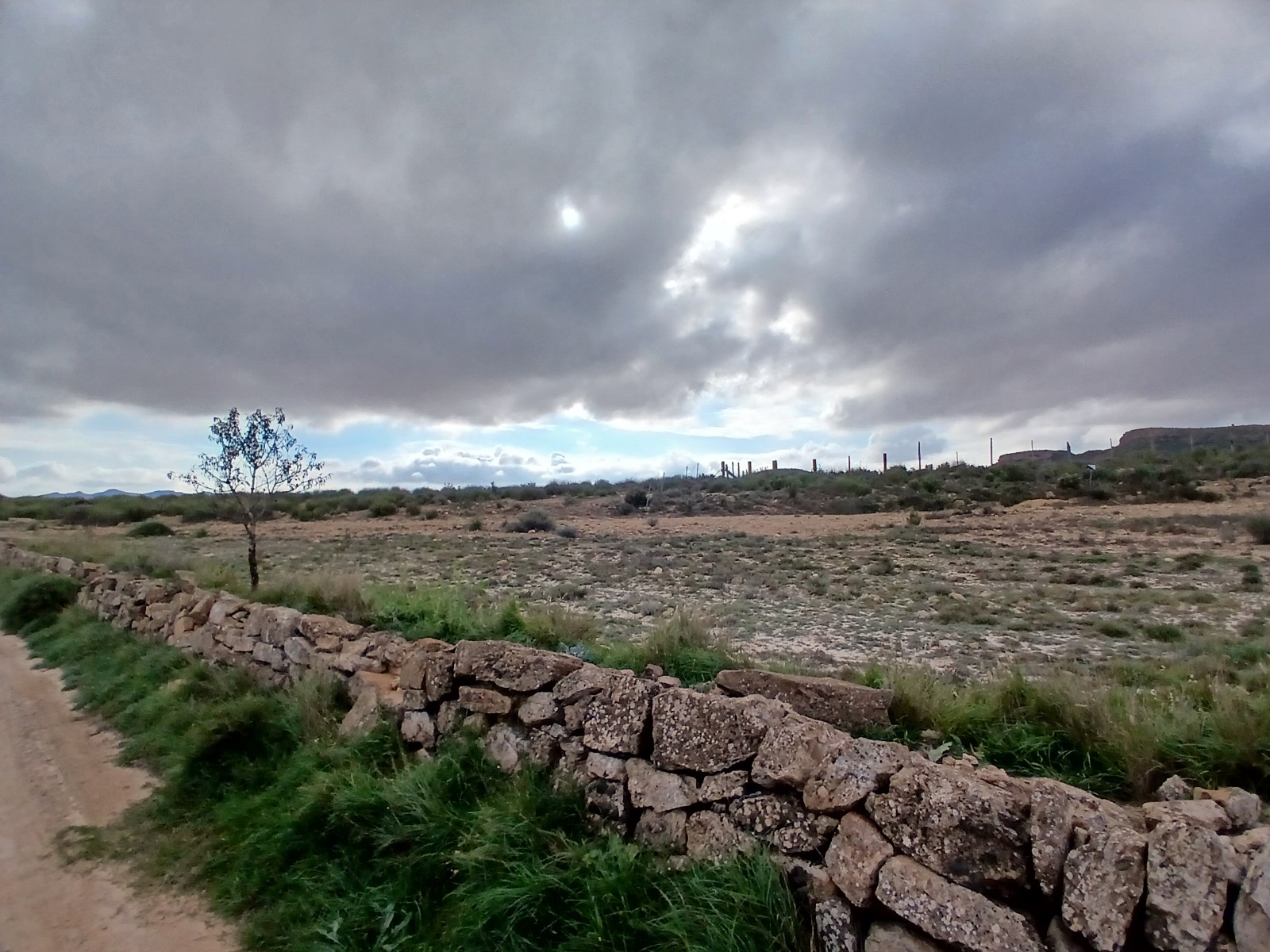 Resale - Land in Yecla -  - Murcia