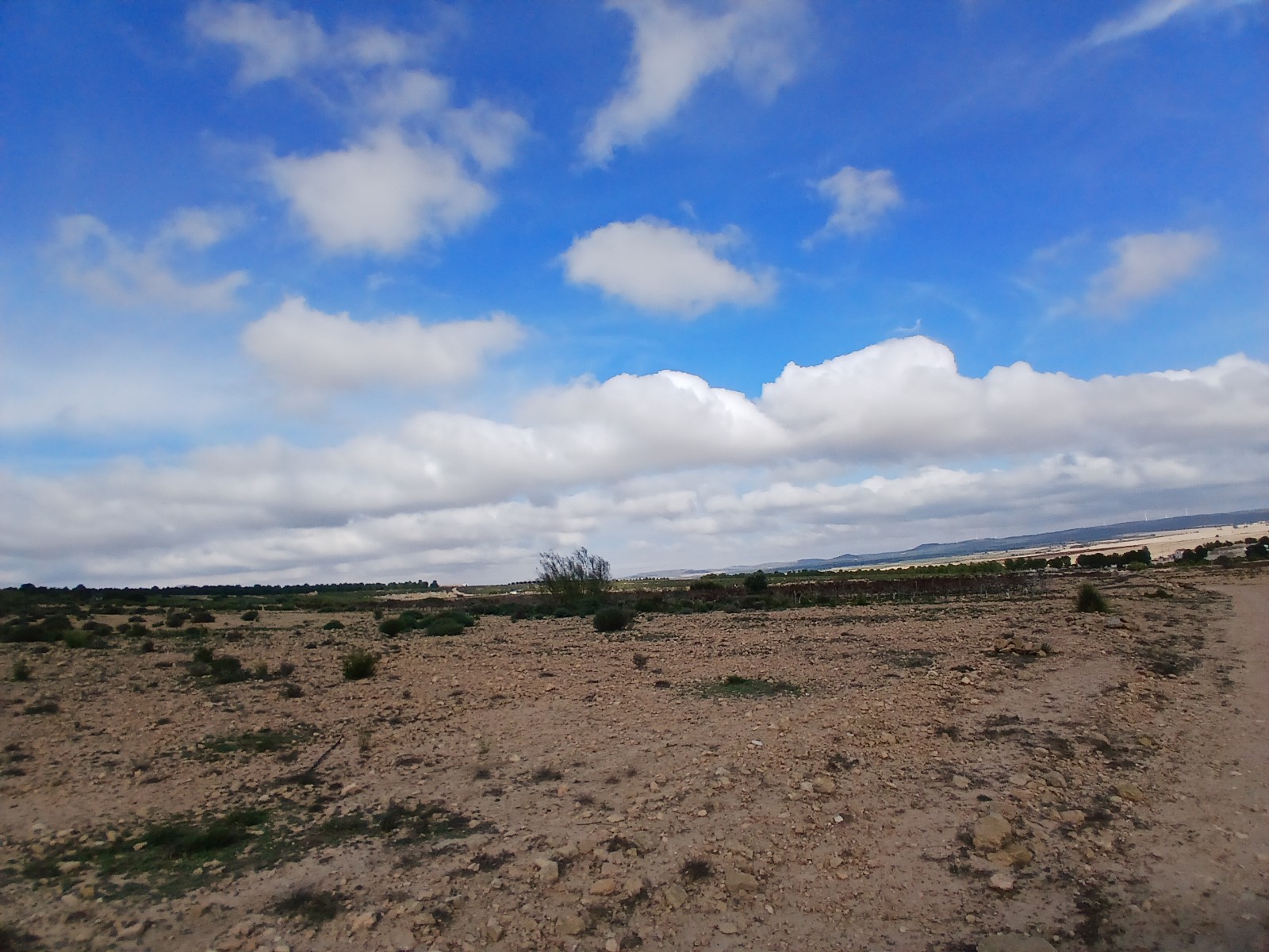 Resale - Land in Yecla -  - Murcia