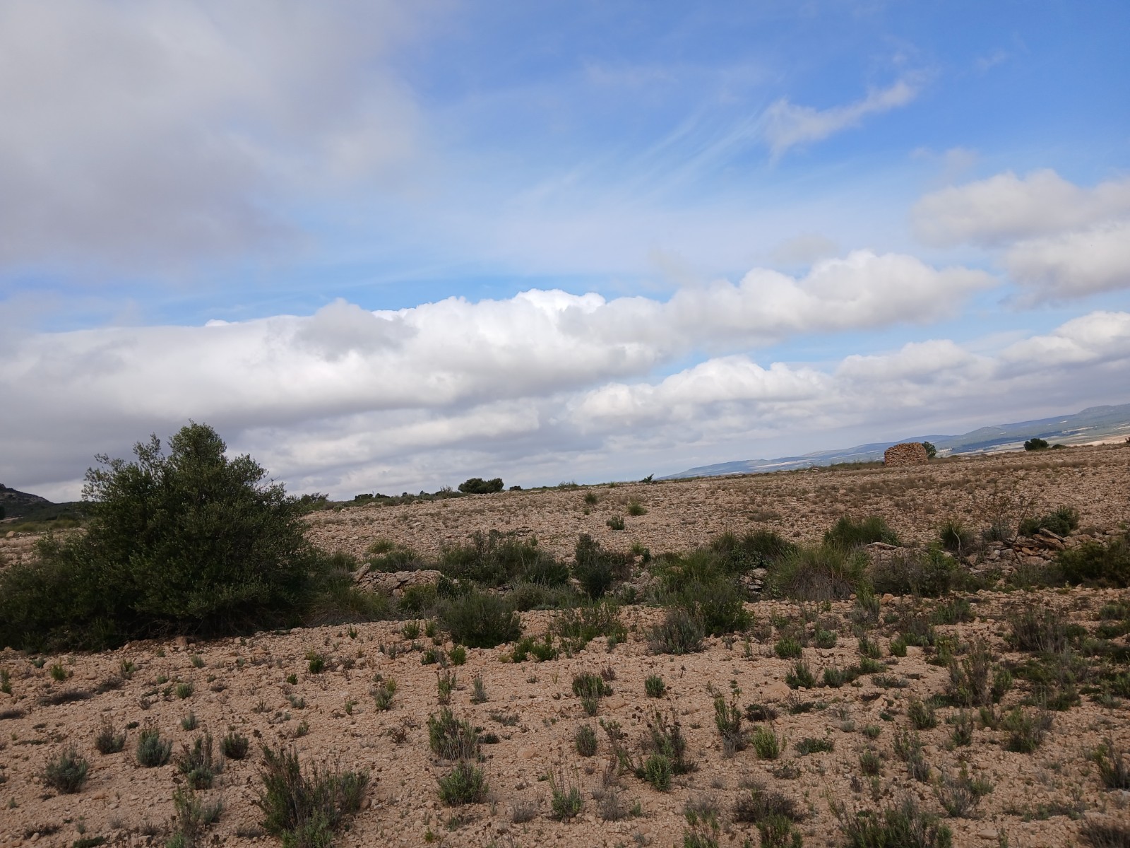 Resale - Land in Yecla -  - Murcia