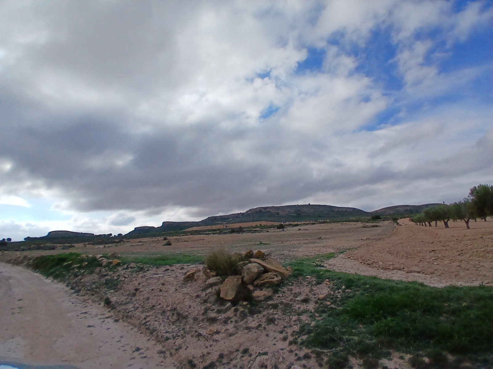 Resale - Land in Yecla -  - Murcia