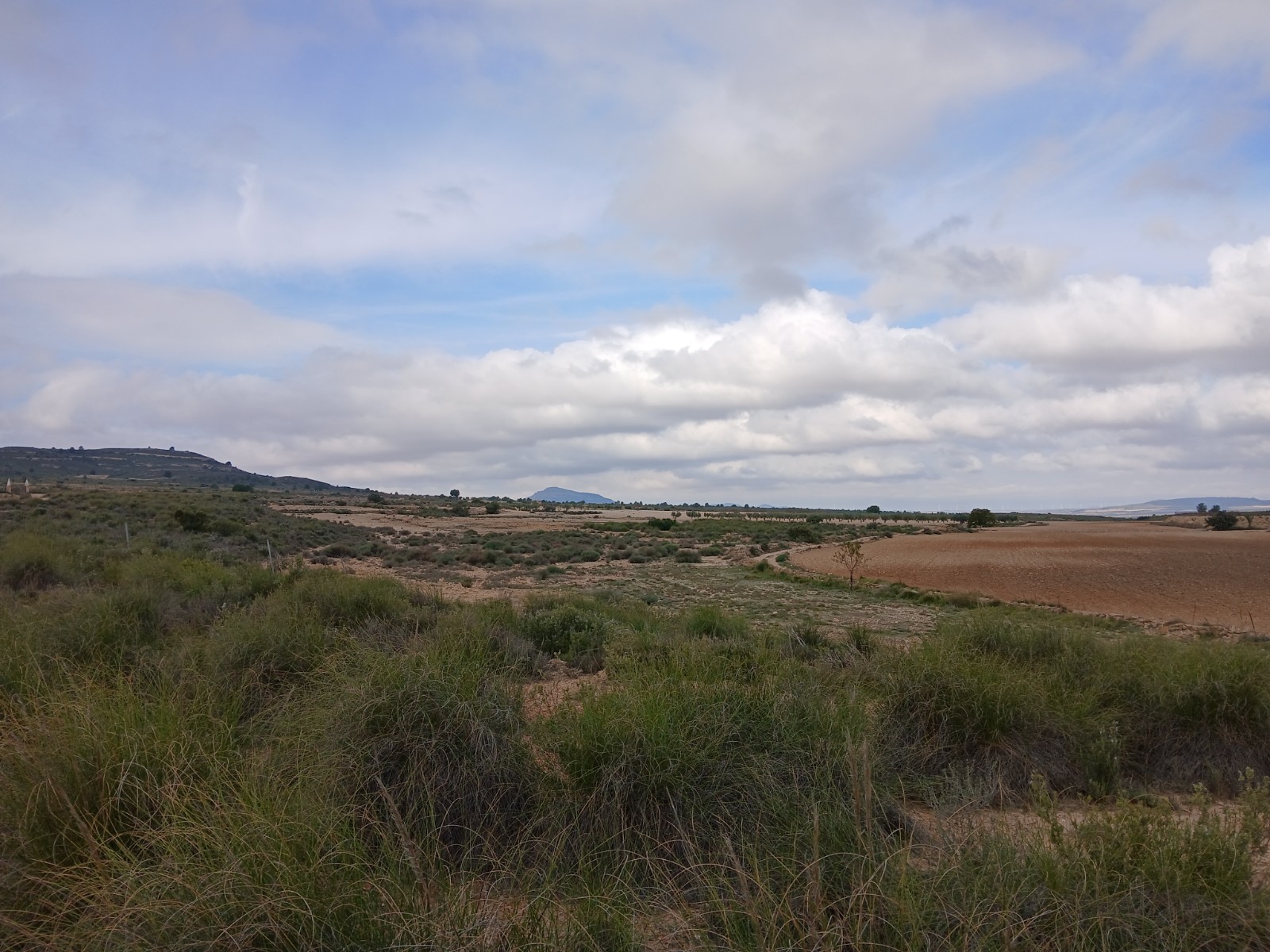Resale - Land in Yecla -  - Murcia