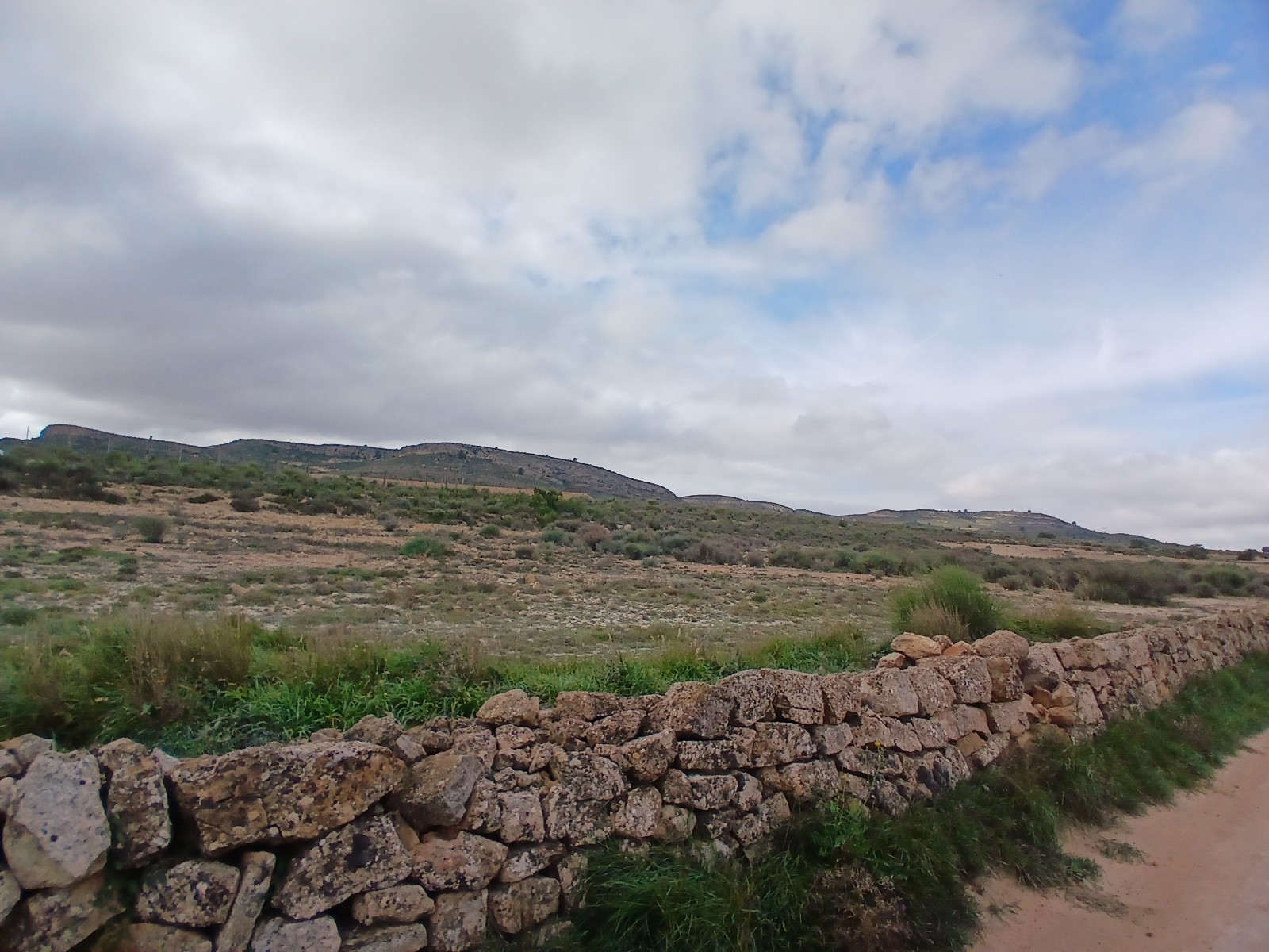 Resale - Land in Yecla -  - Murcia