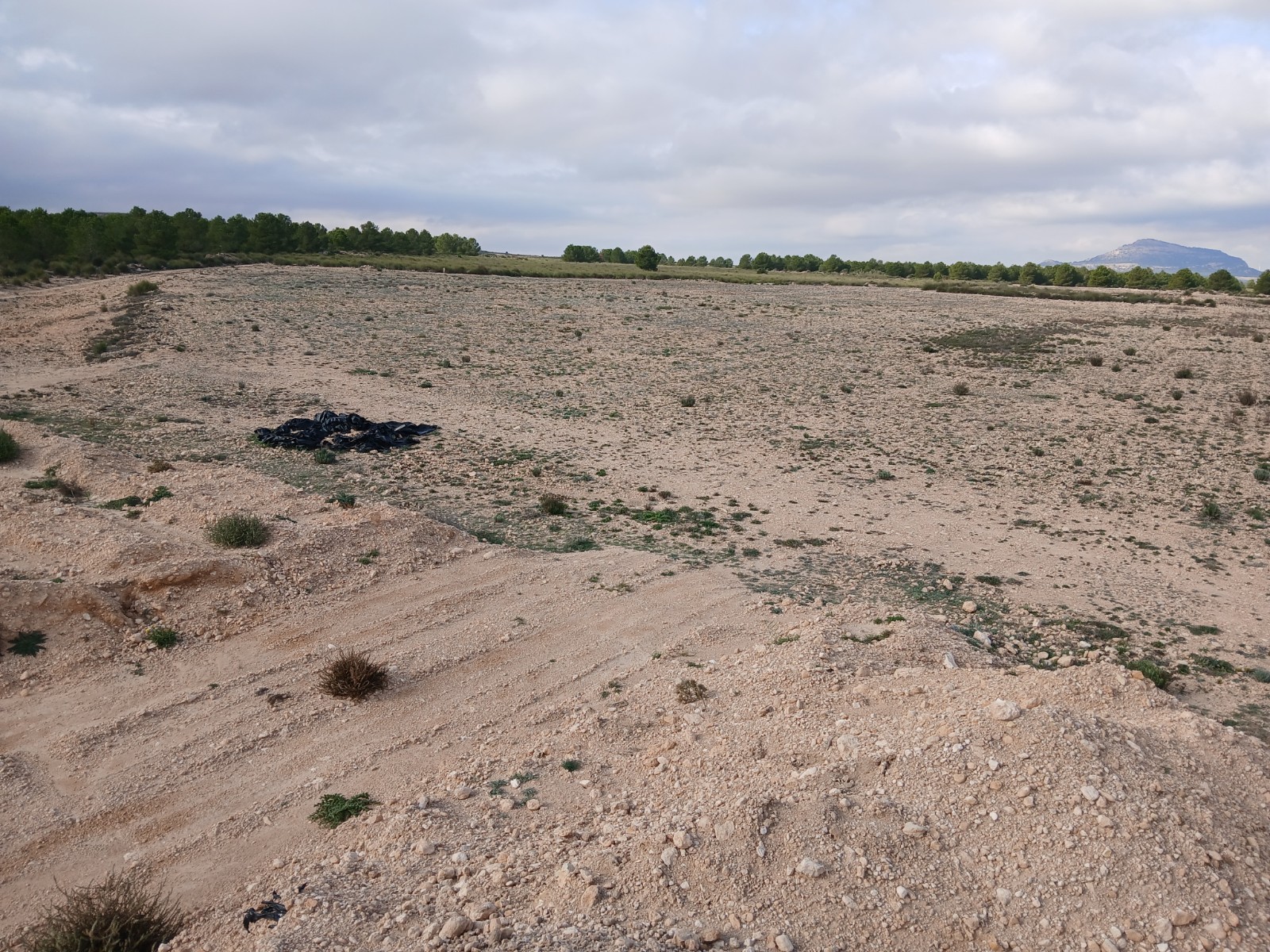 Resale - Land in Yecla -  - Murcia