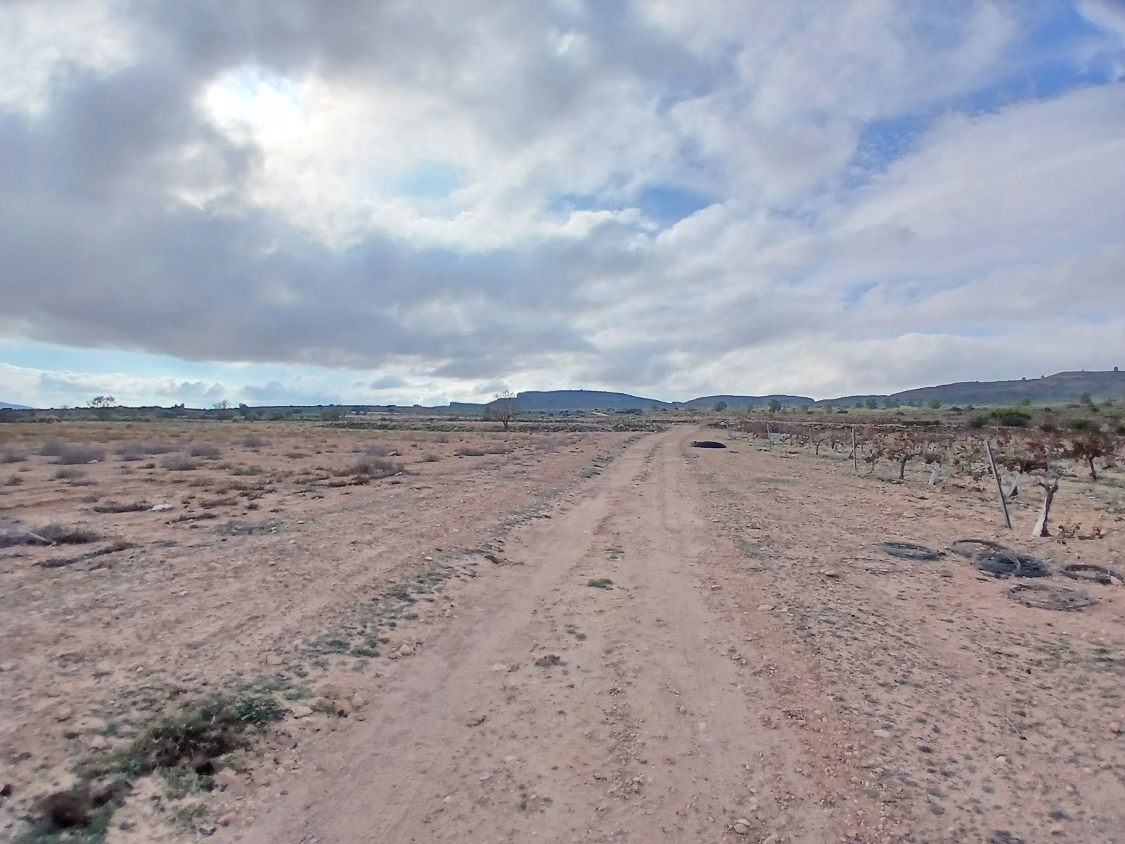 Resale - Land in Yecla -  - Murcia