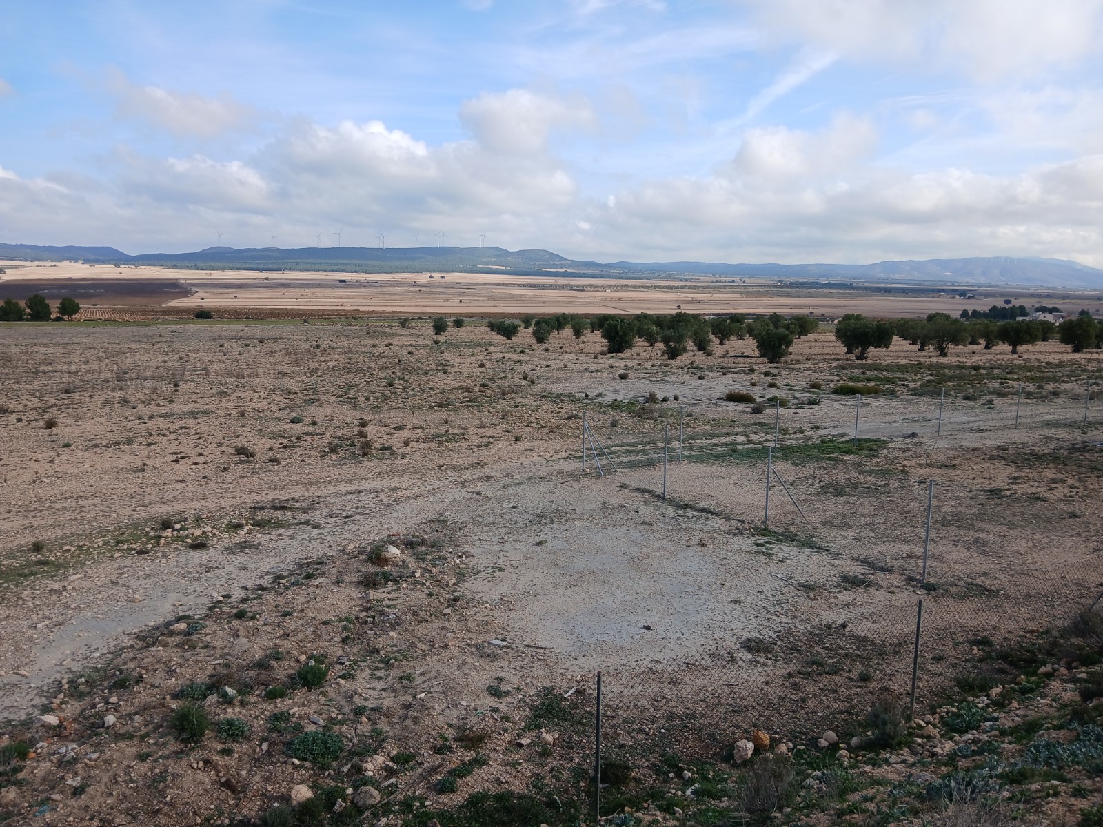 Resale - Land in Yecla -  - Murcia