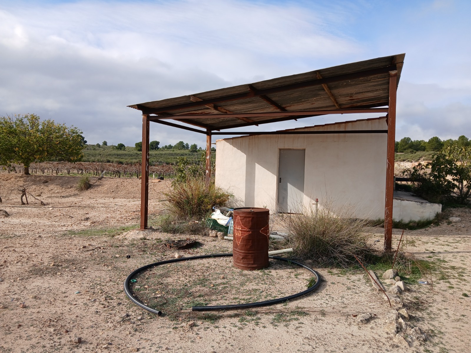 Resale - Land in Yecla -  - Murcia