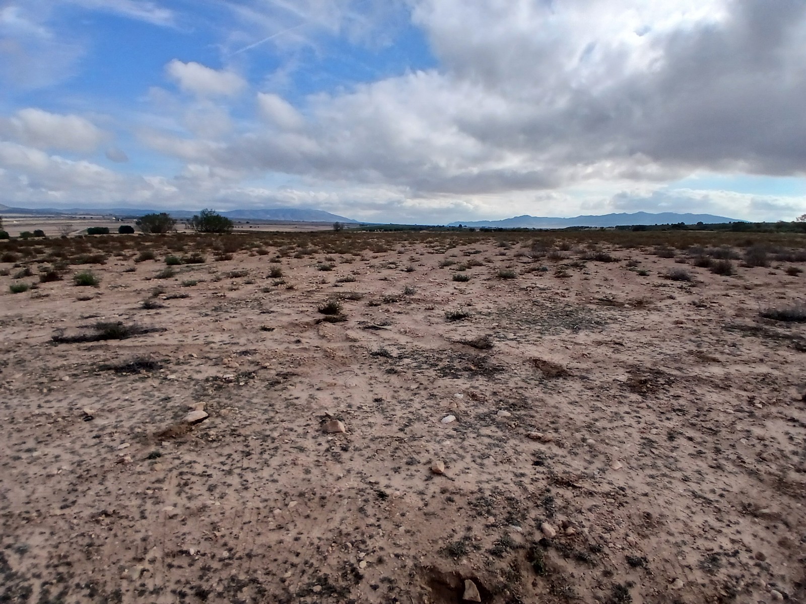 Resale - Land in Yecla -  - Murcia