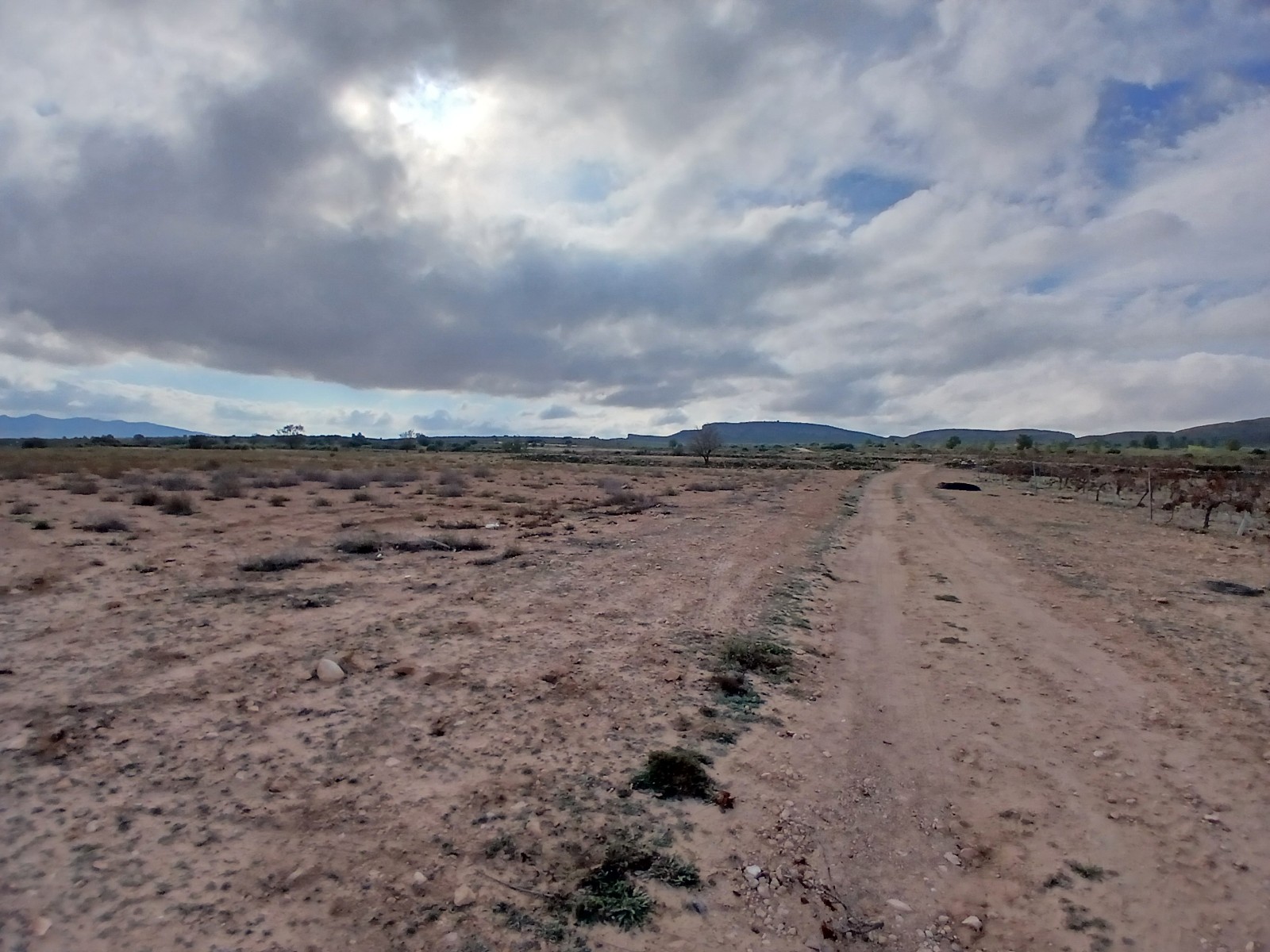 Resale - Land in Yecla -  - Murcia