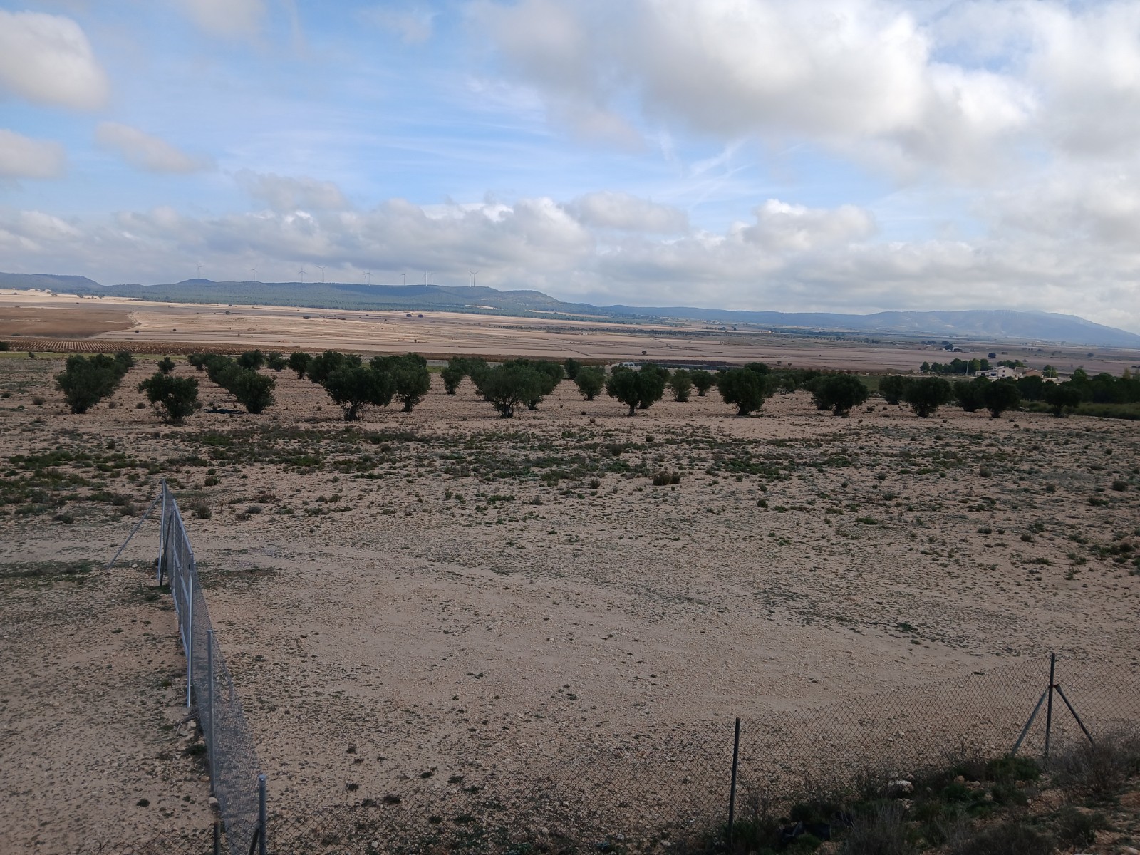 Resale - Land in Yecla -  - Murcia