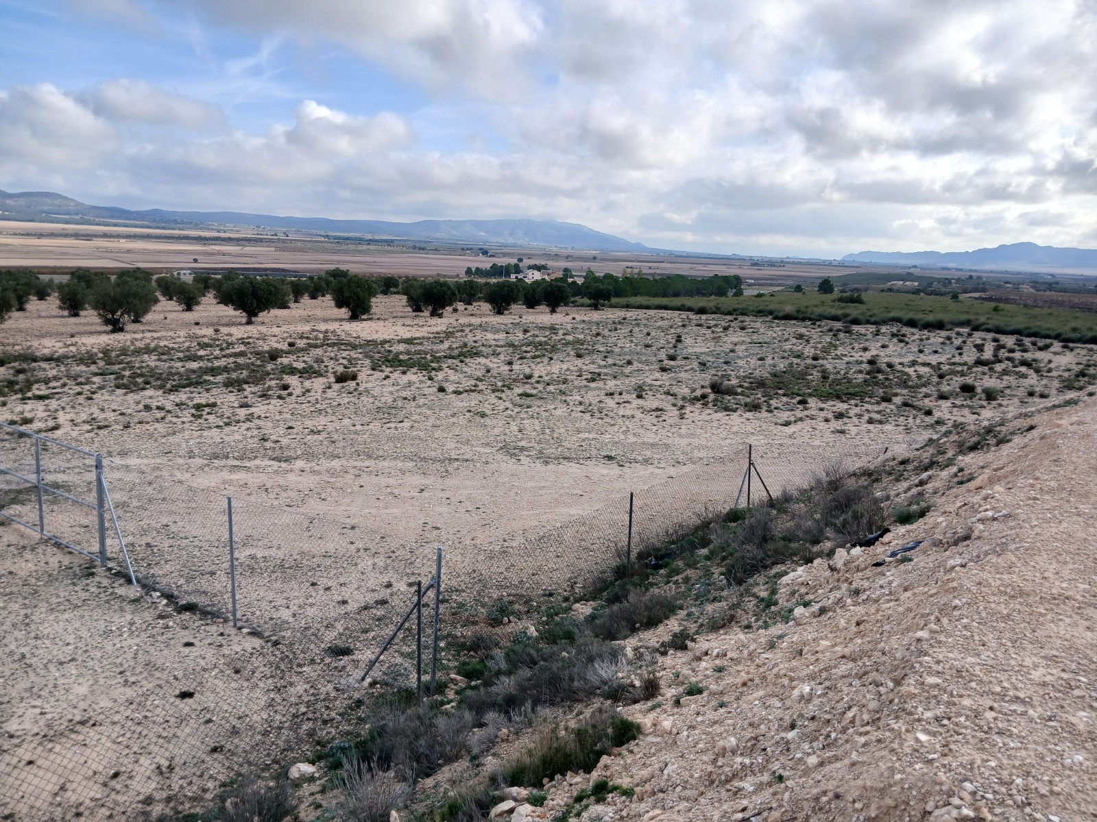 Resale - Land in Yecla -  - Murcia