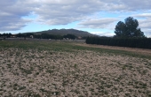 3-11700/4927, Land in Yecla