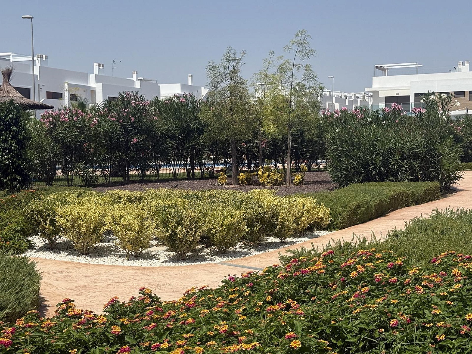 Resale - 2 Bedroom 2 Bathroom Apartment in Los Montesinos -  - Alicante