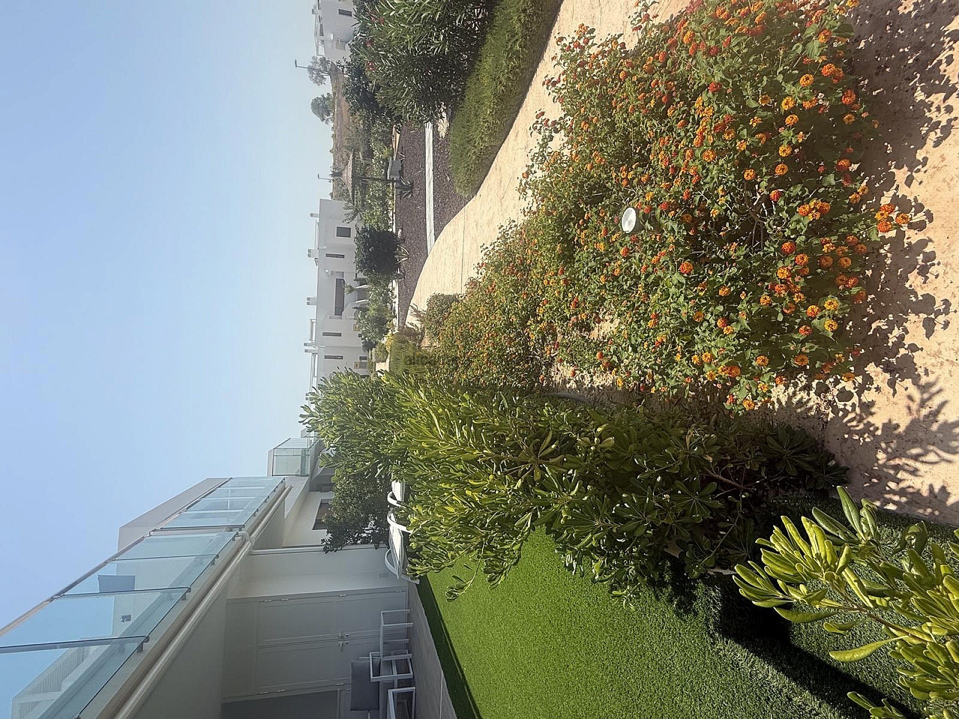 Resale - 2 Bedroom 2 Bathroom Apartment in Los Montesinos -  - Alicante