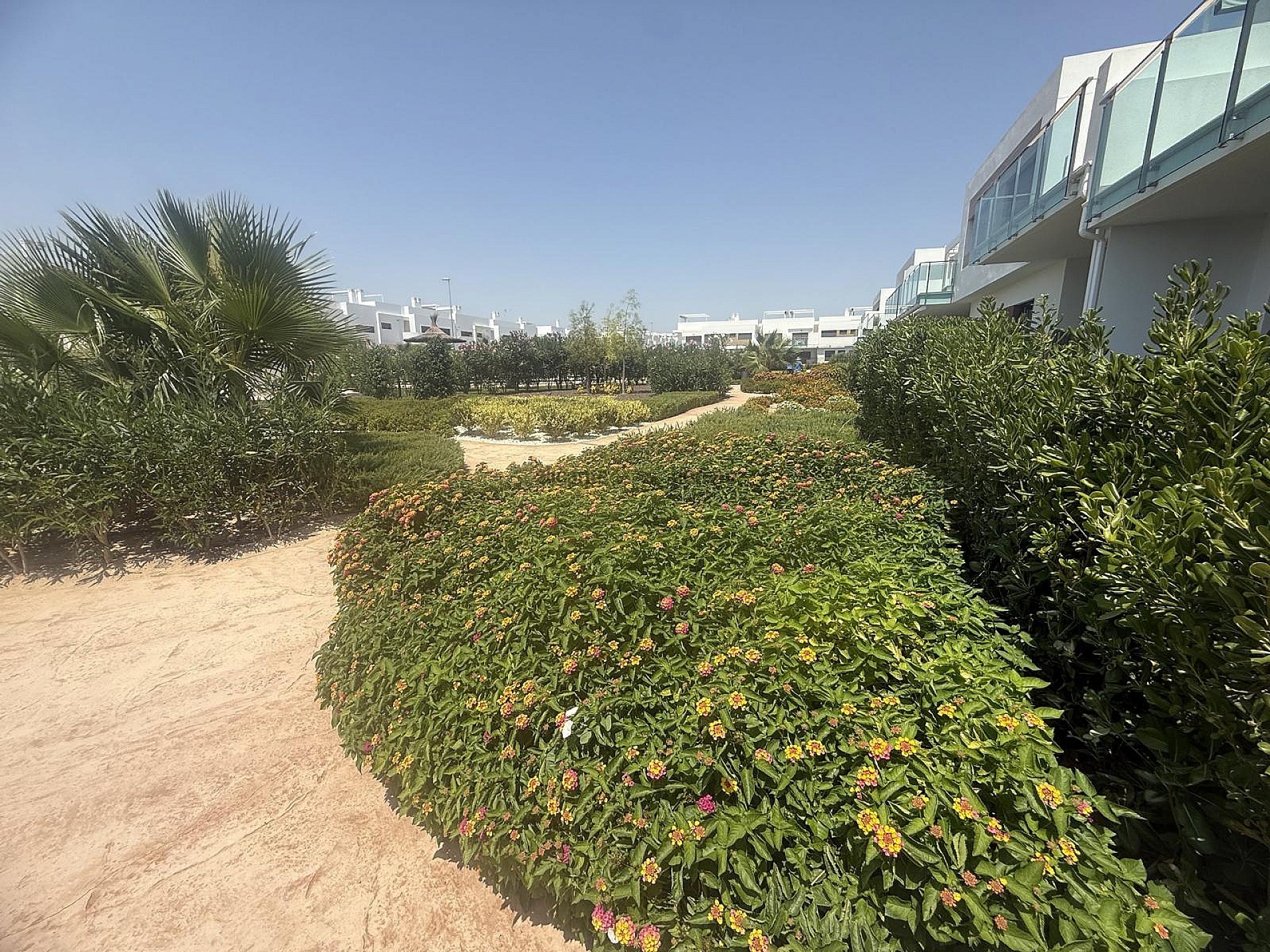 Resale - 2 Bedroom 2 Bathroom Apartment in Los Montesinos -  - Alicante