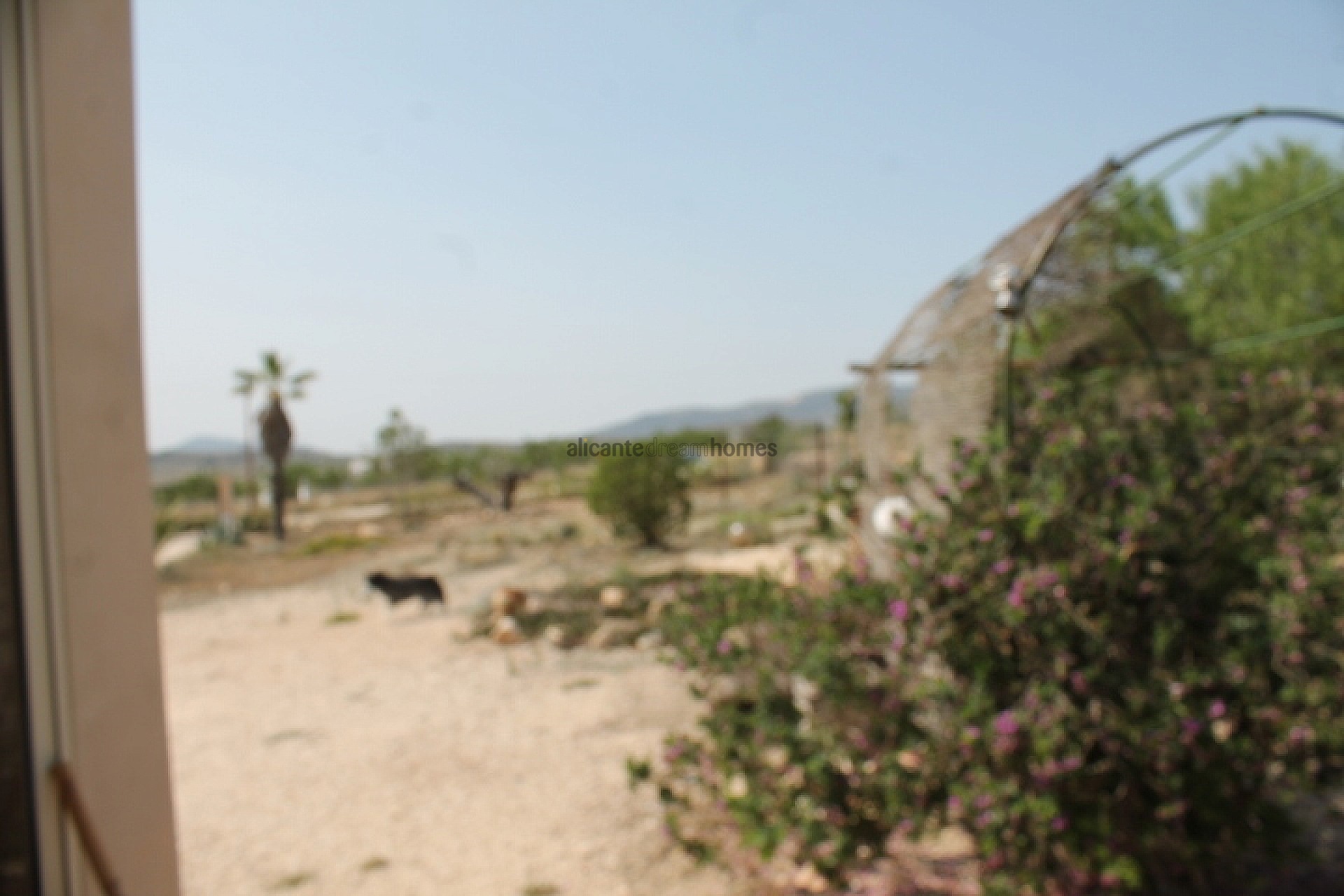 Resale - 4 Bedroom 2 Bathroom Finca in Pinoso -  - Alicante