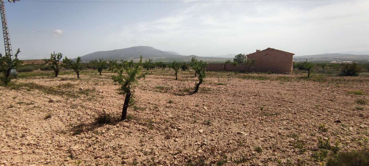 Resale - Country house in Pinoso - , Pinoso, Alicante, Spain - Alicante