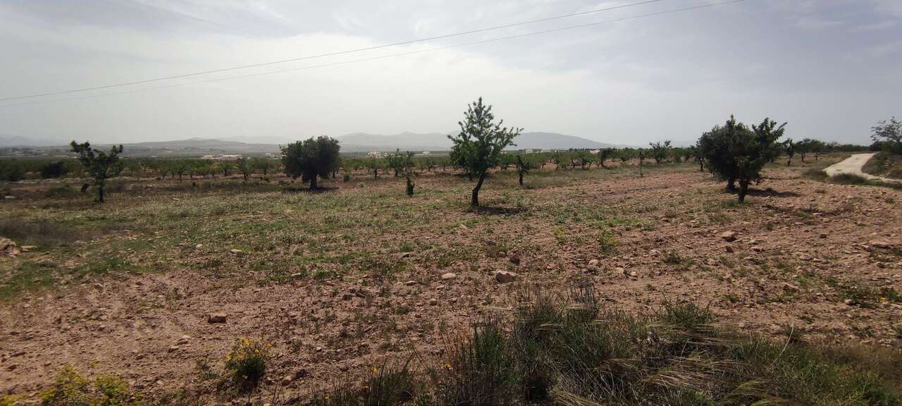 Resale - Country house in Pinoso - , Pinoso, Alicante, Spain - Alicante