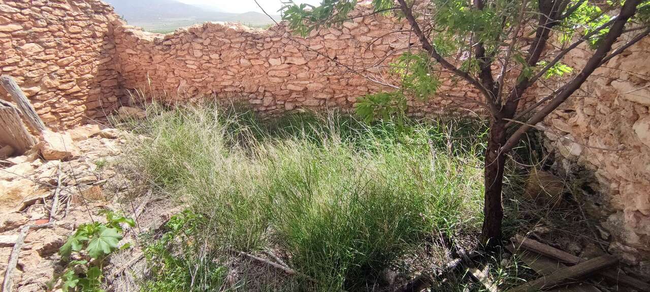 Resale - Country house in Pinoso - , Pinoso, Alicante, Spain - Alicante