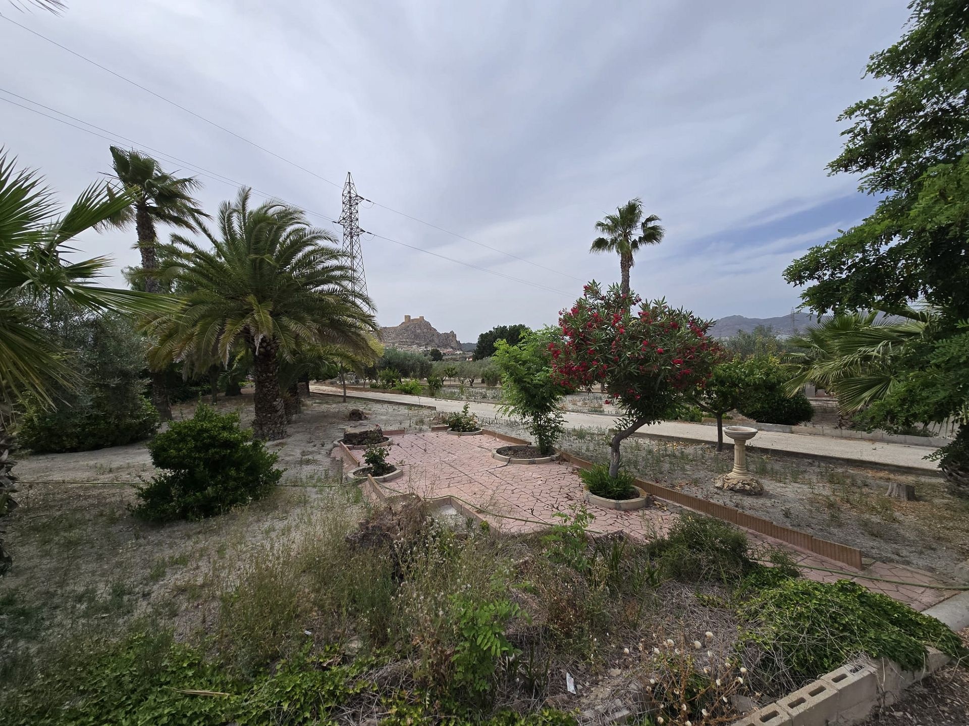 Resale - 1 Bathroom Restoration Project in Sax -  - Alicante