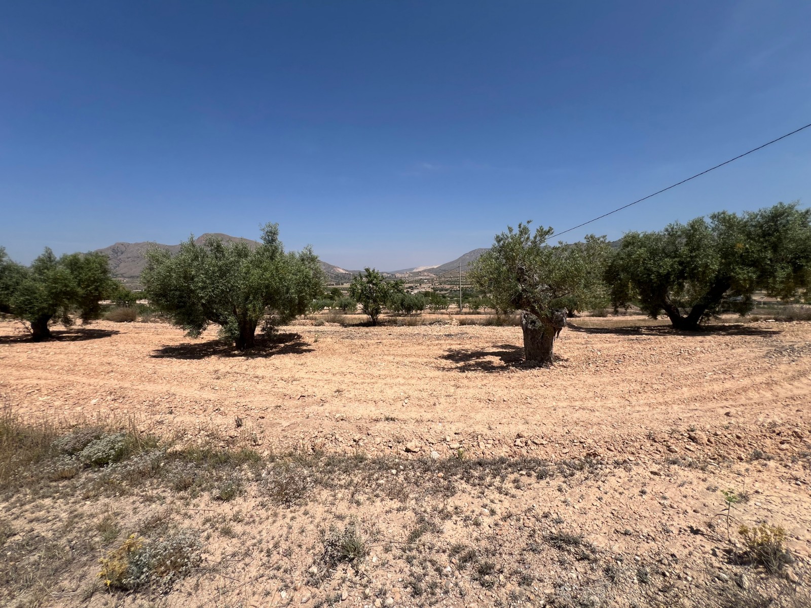 Resale - Land in Barbarroja -  - Alicante