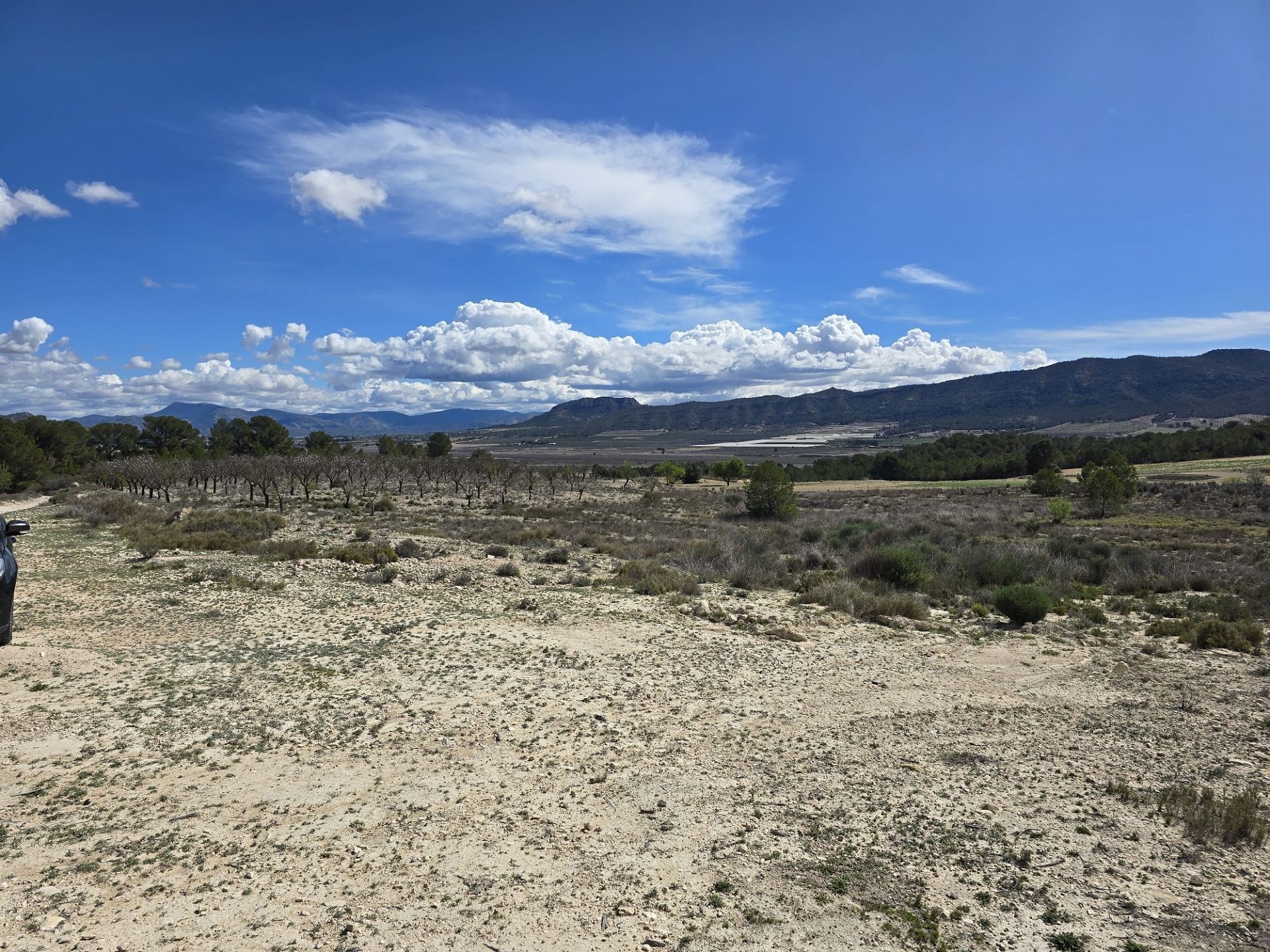 Resale - Land in Salinas -  - Alicante