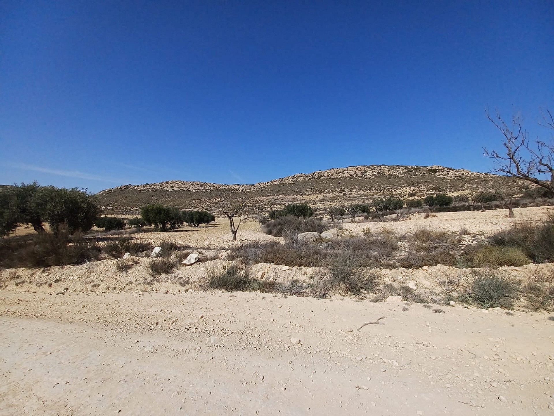 Resale - Land in Pinoso -  - Alicante