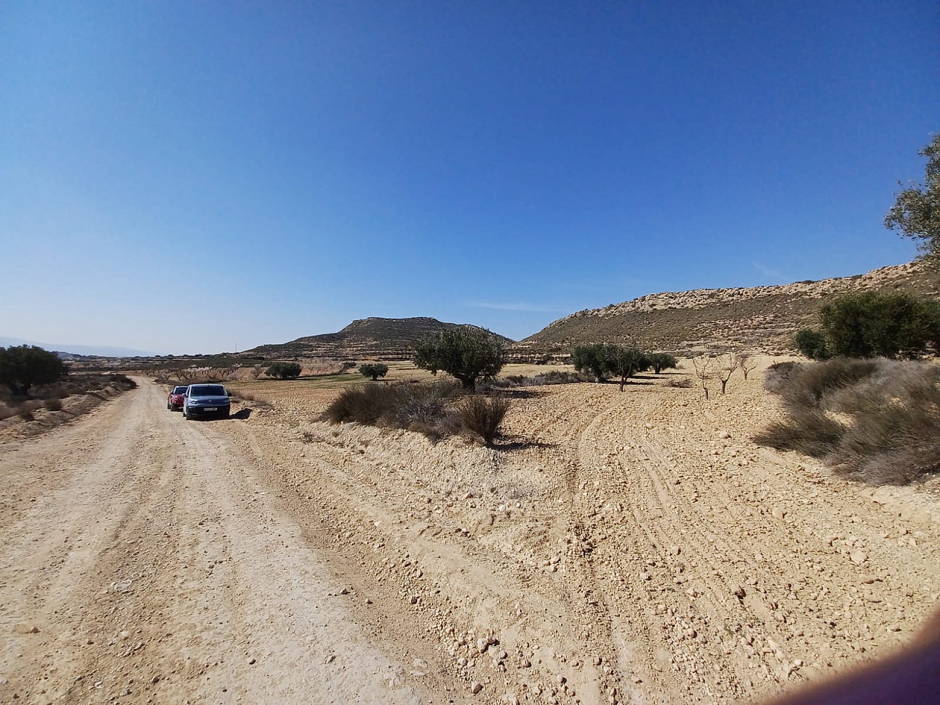 Resale - Land in Pinoso -  - Alicante