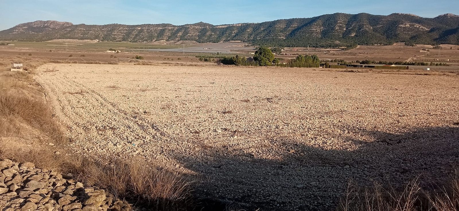 Resale - Land in Salinas -  - Alicante