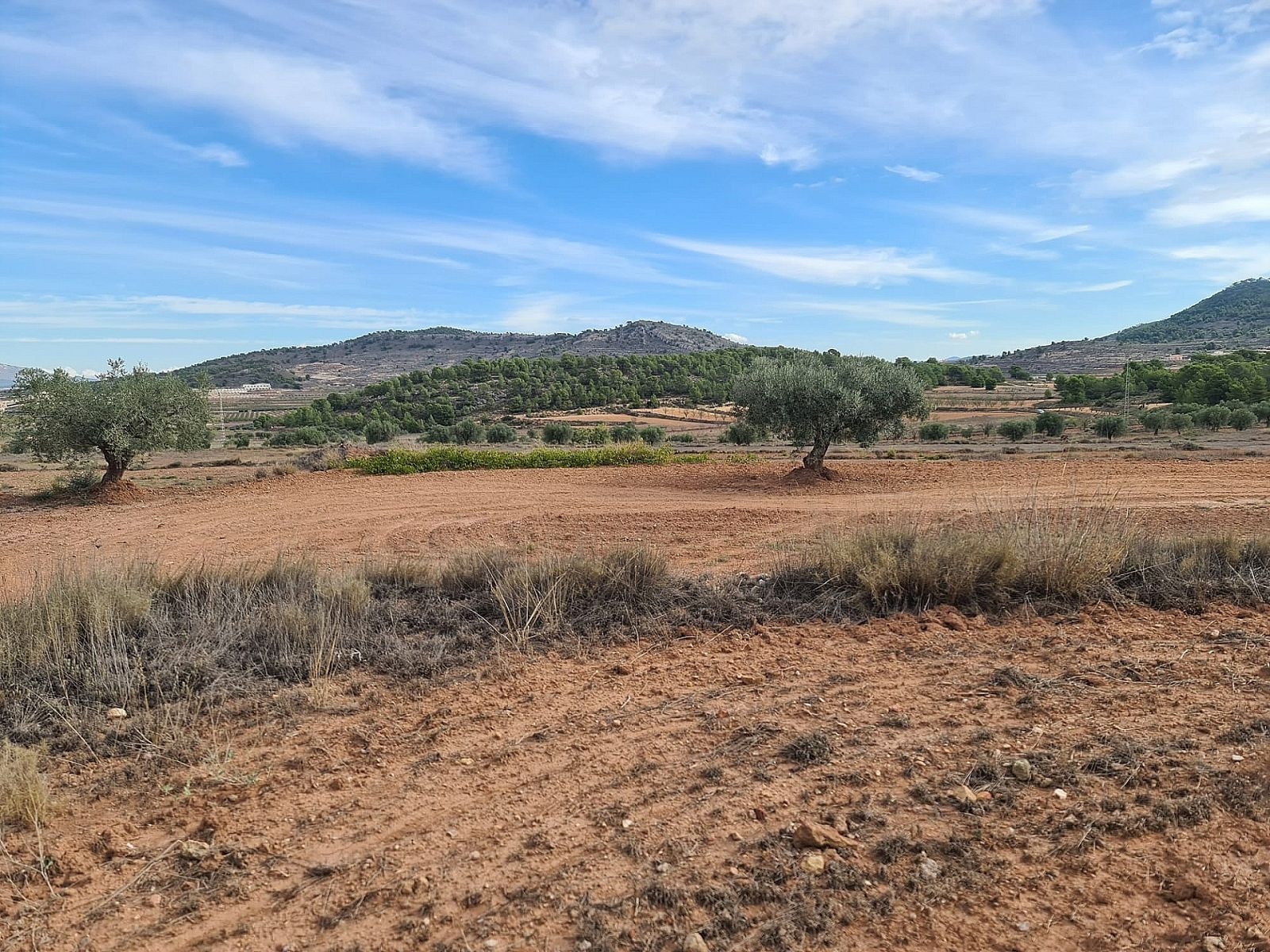 Resale - Land in Pinoso -  - Alicante