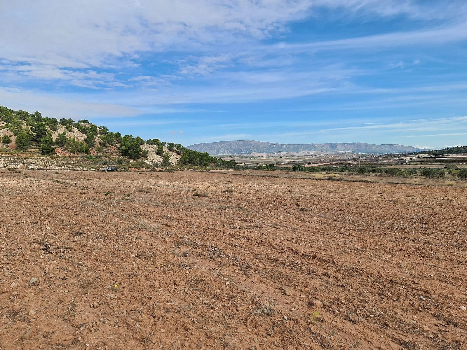 Resale - Land in Pinoso -  - Alicante