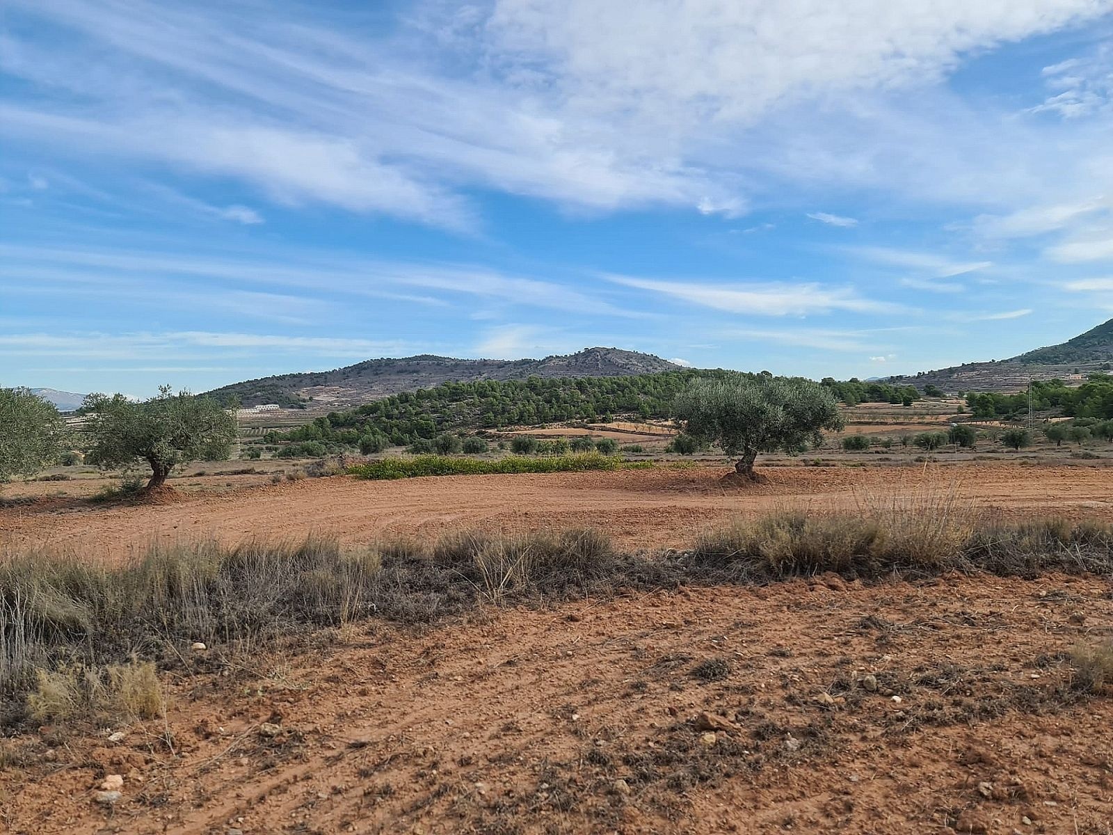 Resale - Land in Pinoso -  - Alicante
