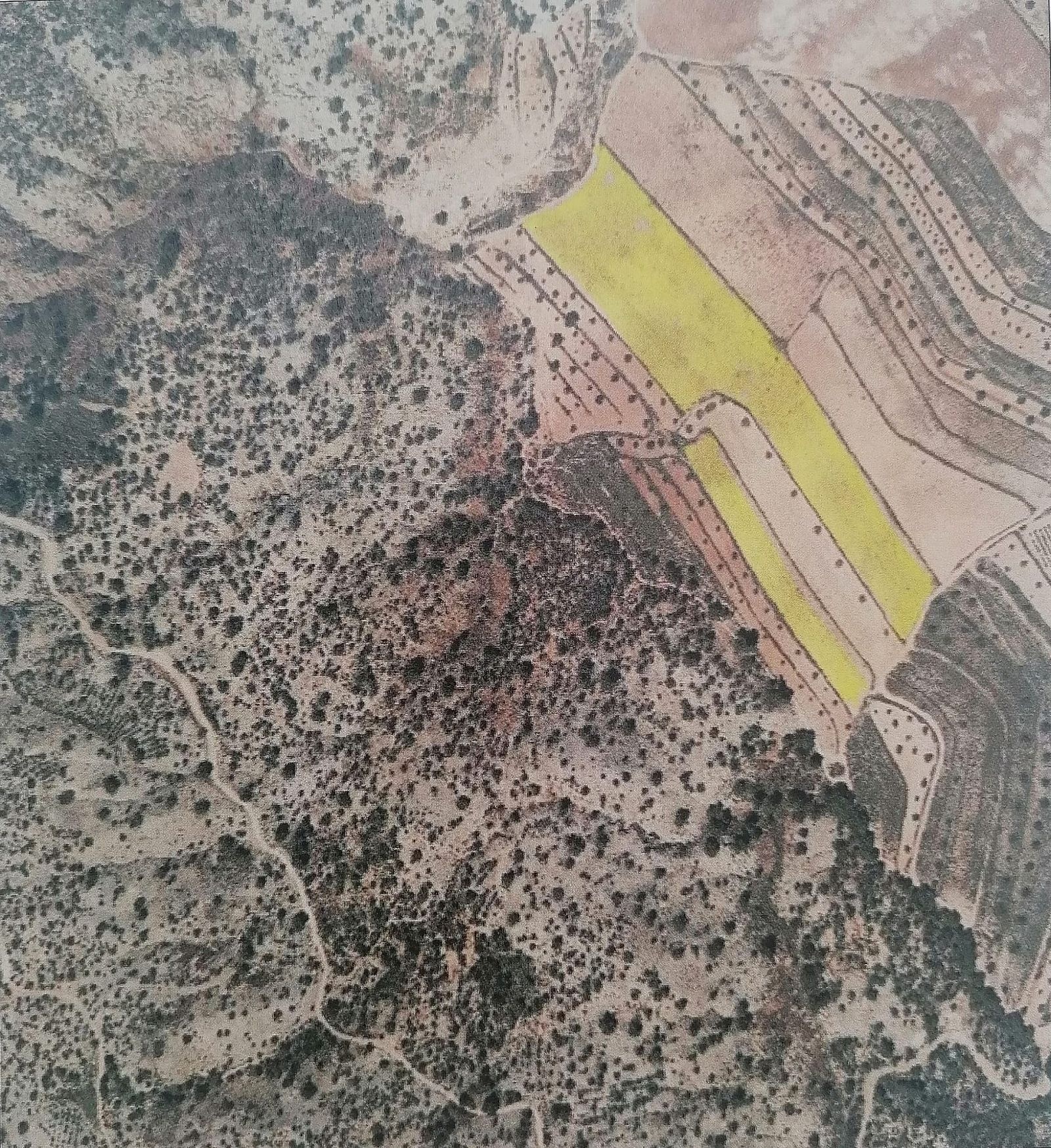 Resale - Land in Pinoso -  - Alicante