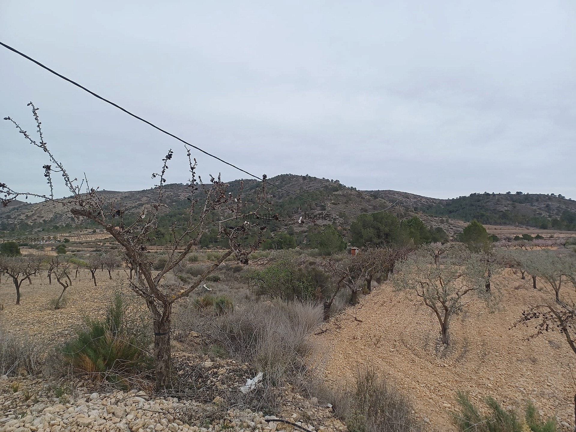 Resale - Land in La Romana -  - Alicante