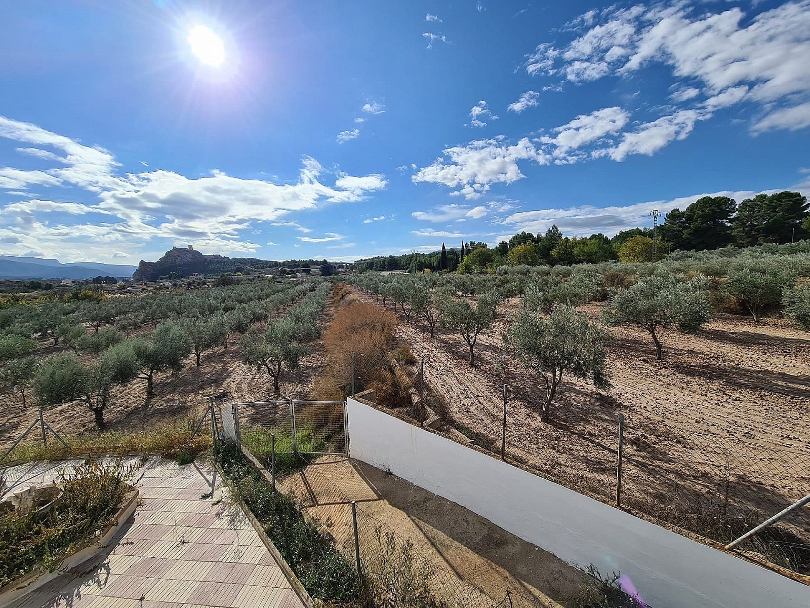 Resale - 4 Bedroom 2 Bathroom Country house in Sax -  - Alicante