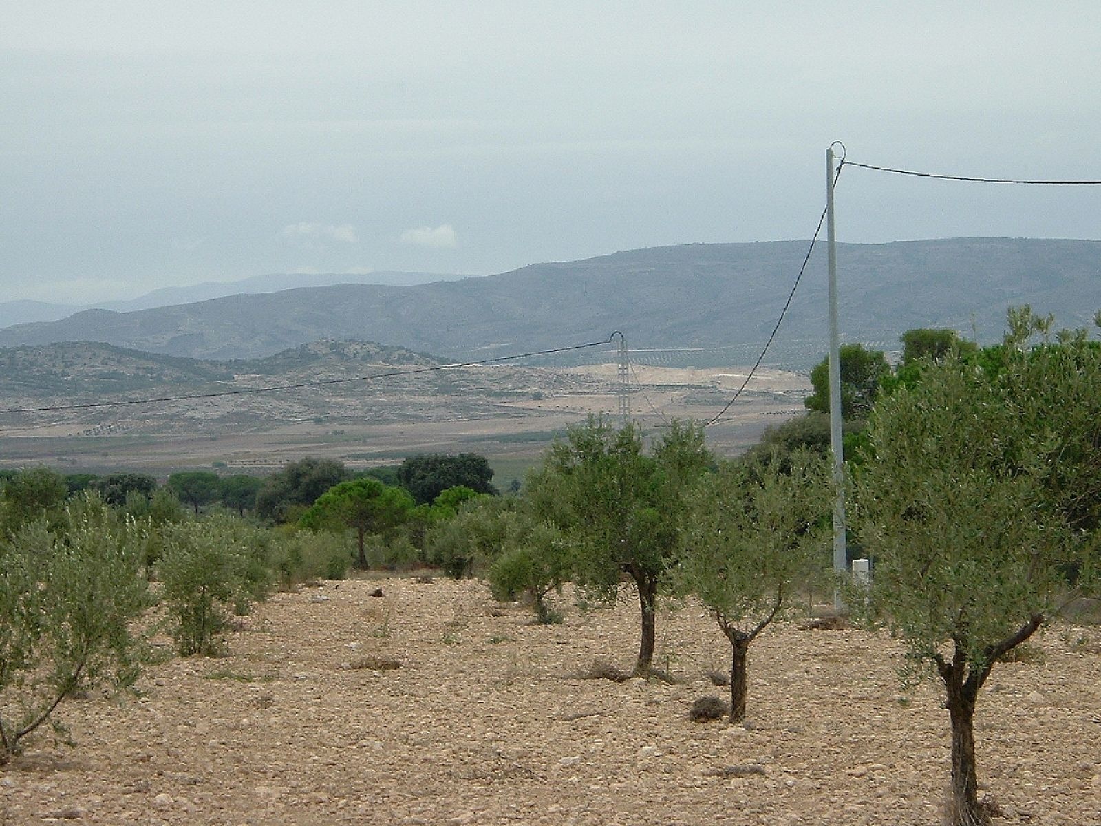 Resale - Land in Biar -  - Alicante