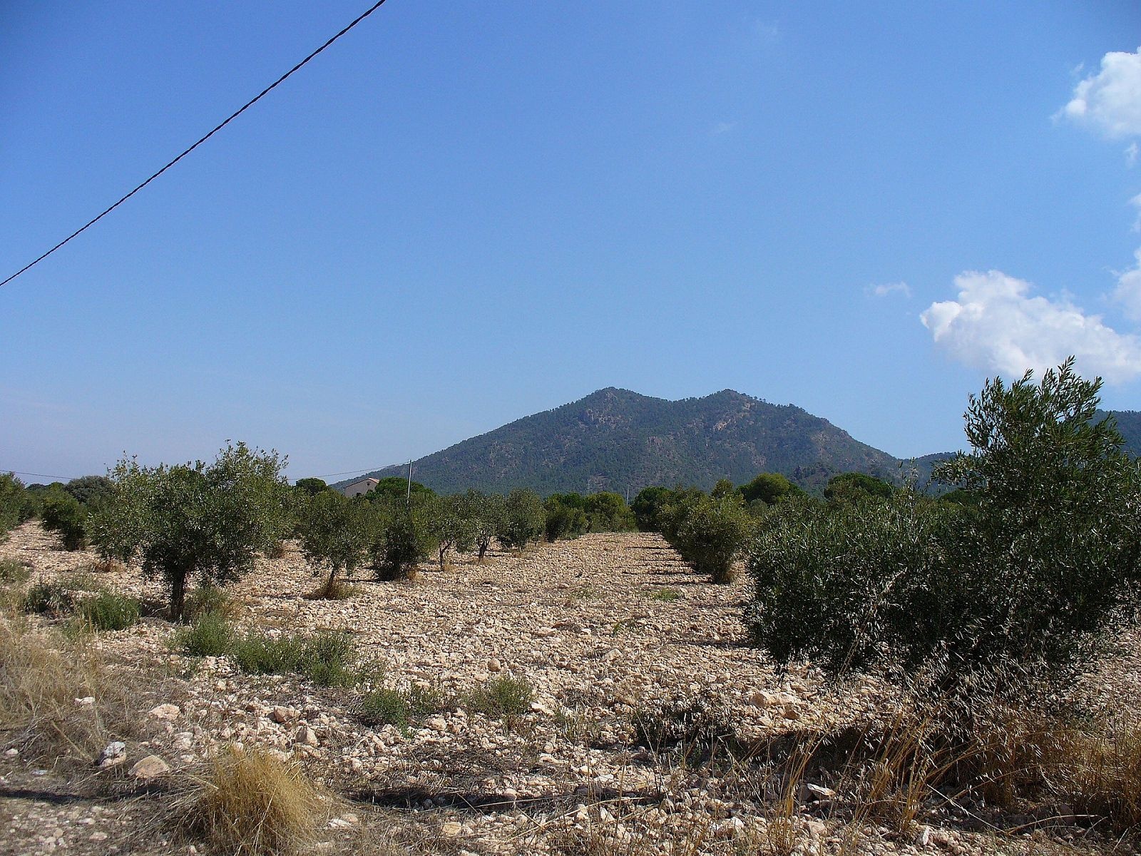Resale - Land in Biar -  - Alicante