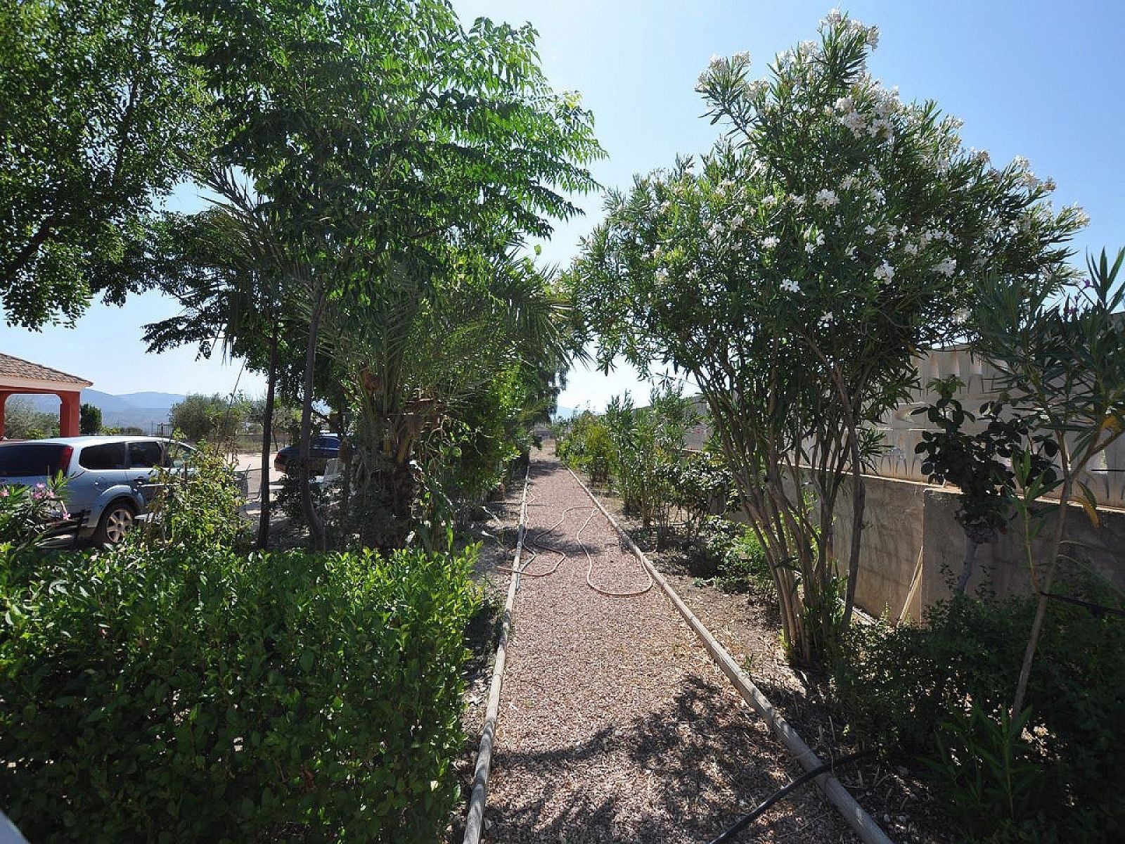 Resale - 8 Bedroom 3 Bathroom Villa in Sax -  - Alicante