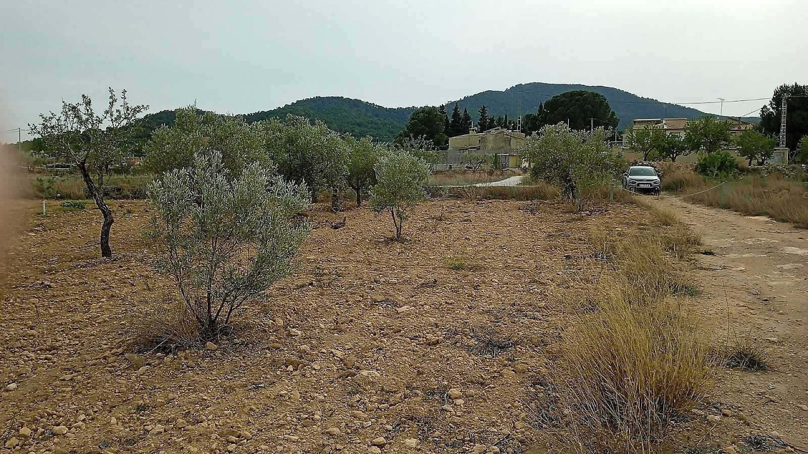 Resale - Land in Monóvar -  - Alicante