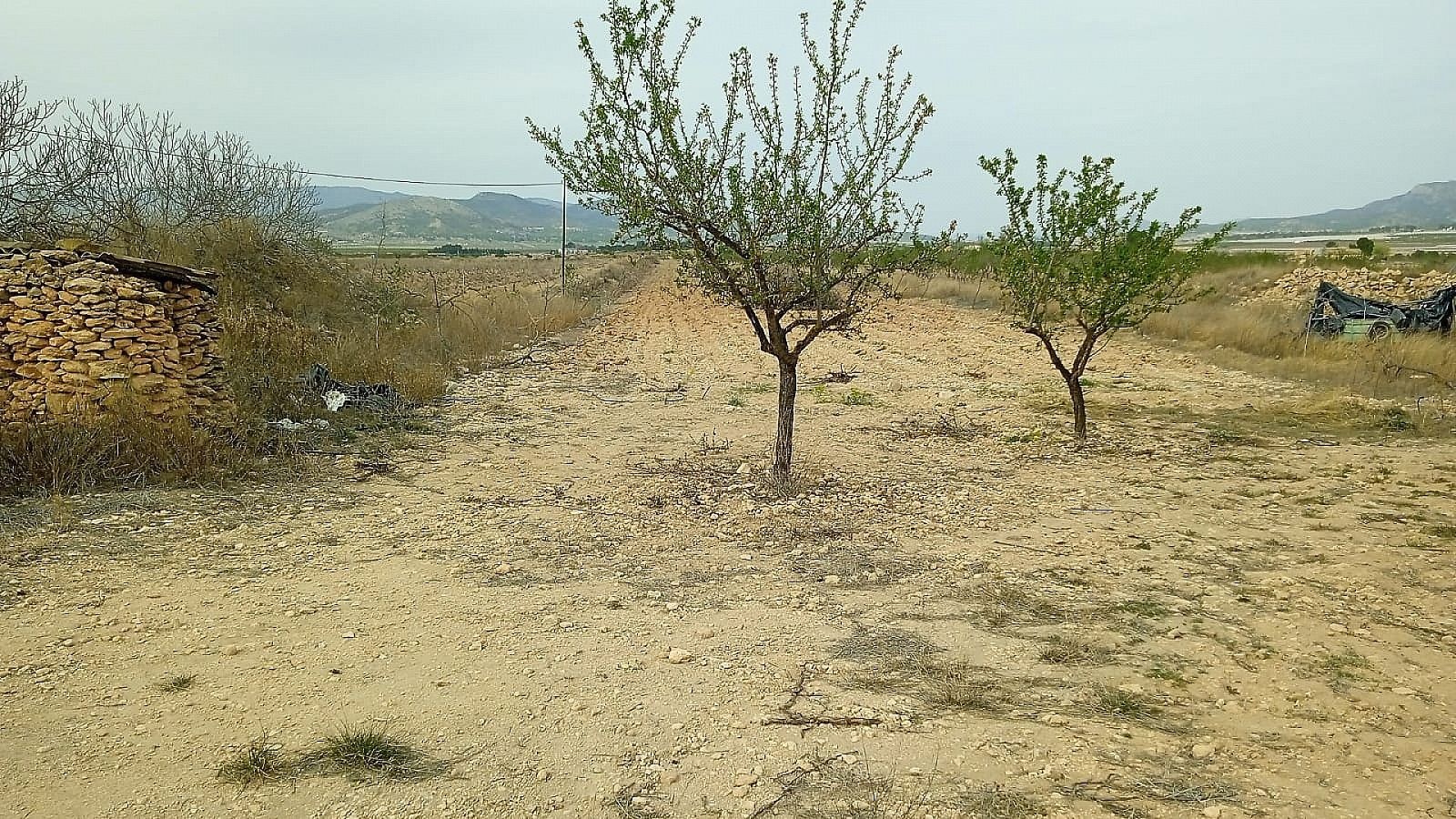 Resale - Land in Monóvar -  - Alicante