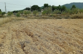 Land in Monóvar