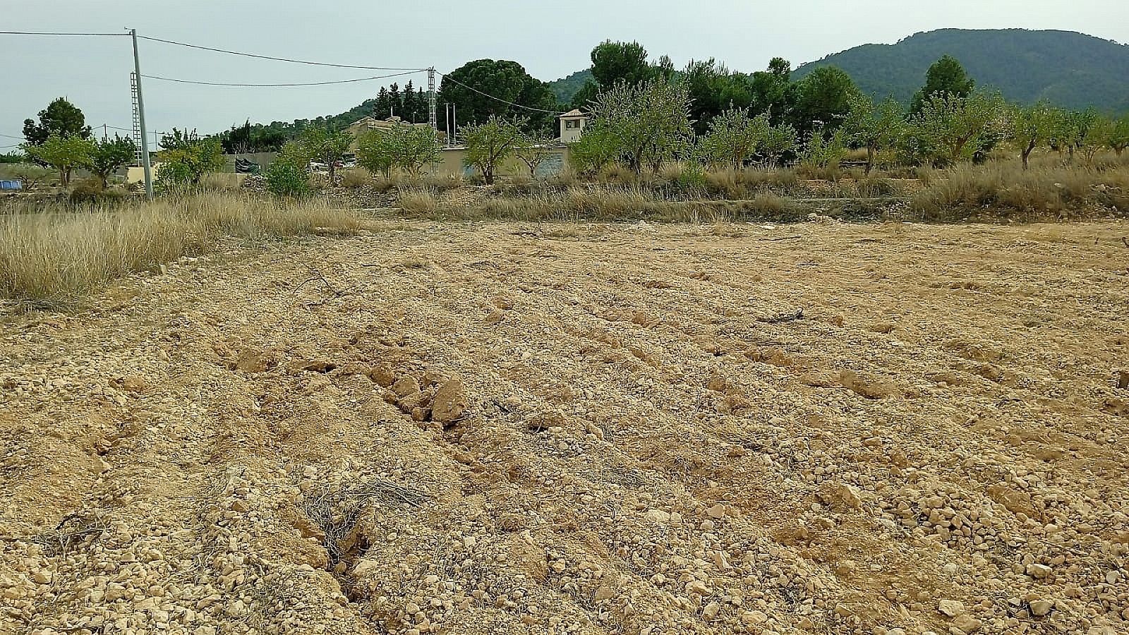 Resale - Land in Monóvar -  - Alicante