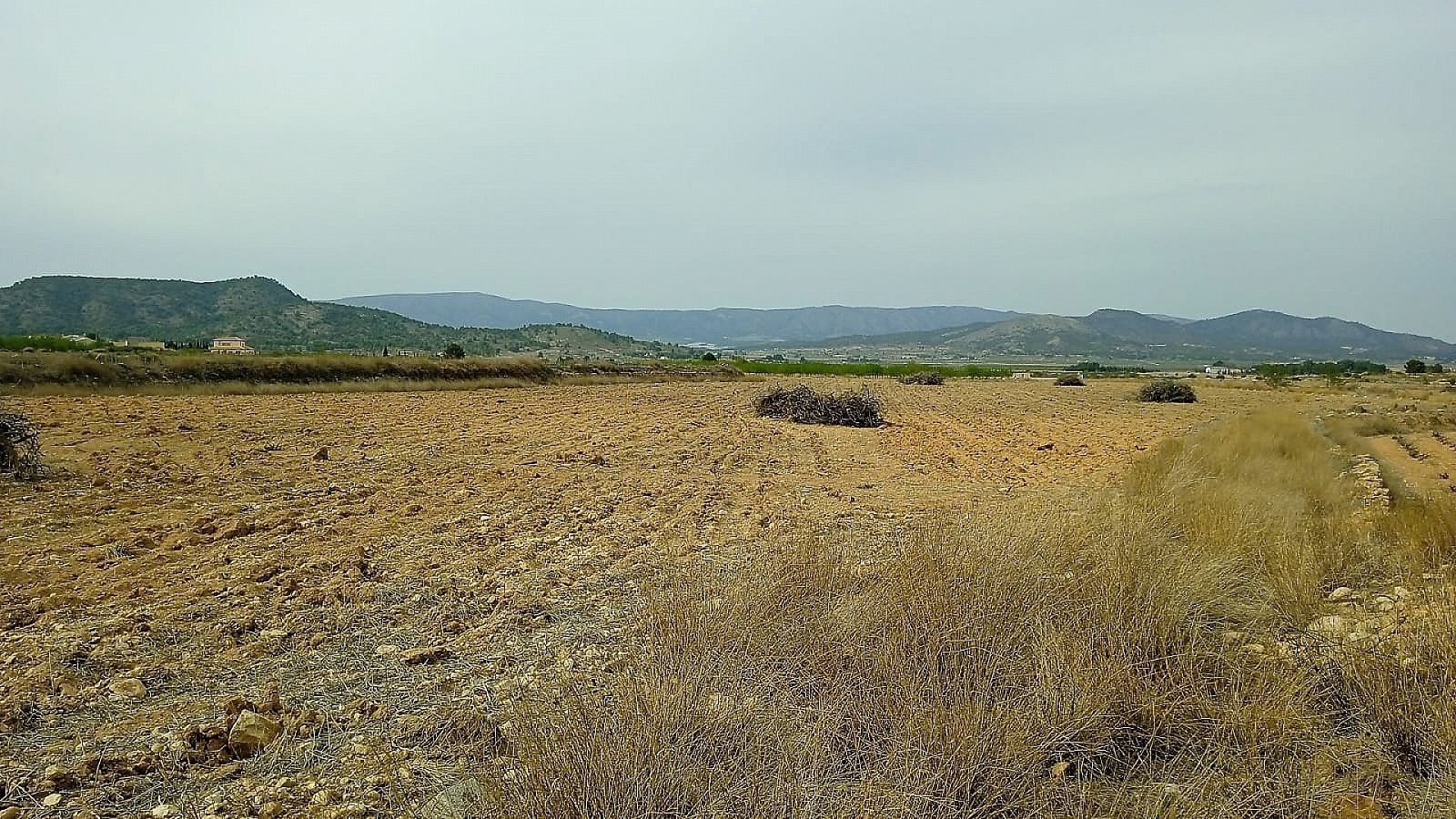 Resale - Land in Monóvar -  - Alicante