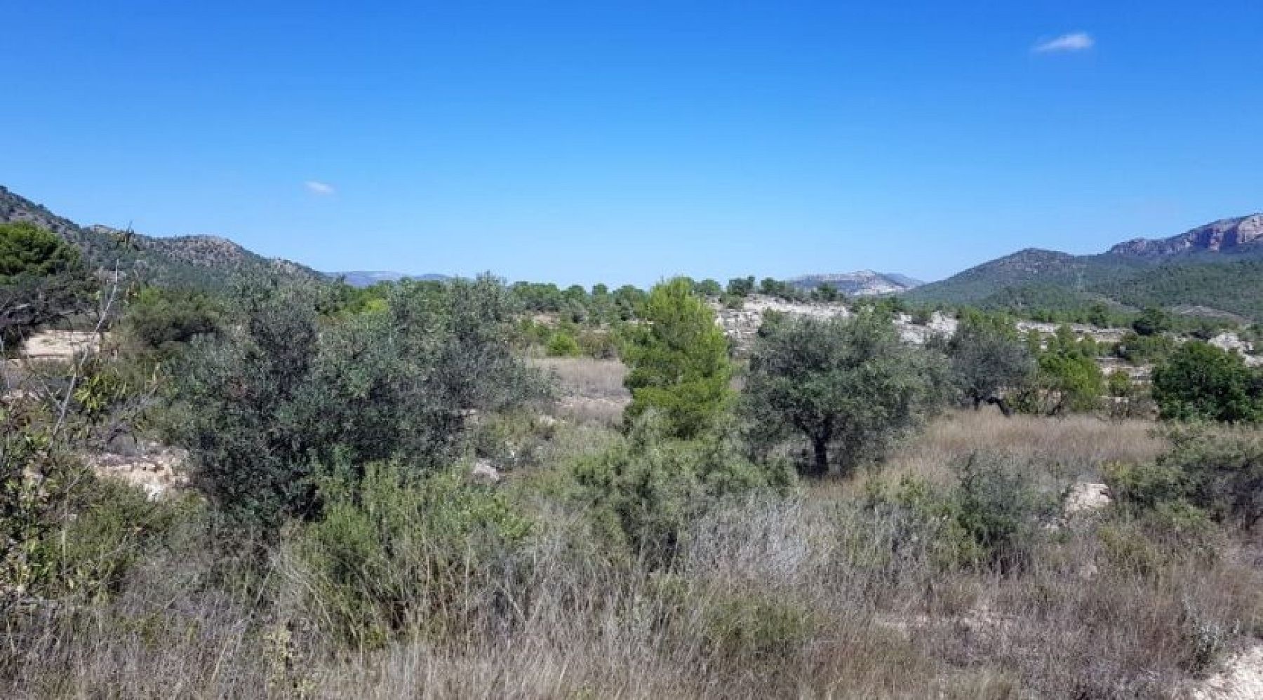 Resale - Land in Monóvar -  - Alicante